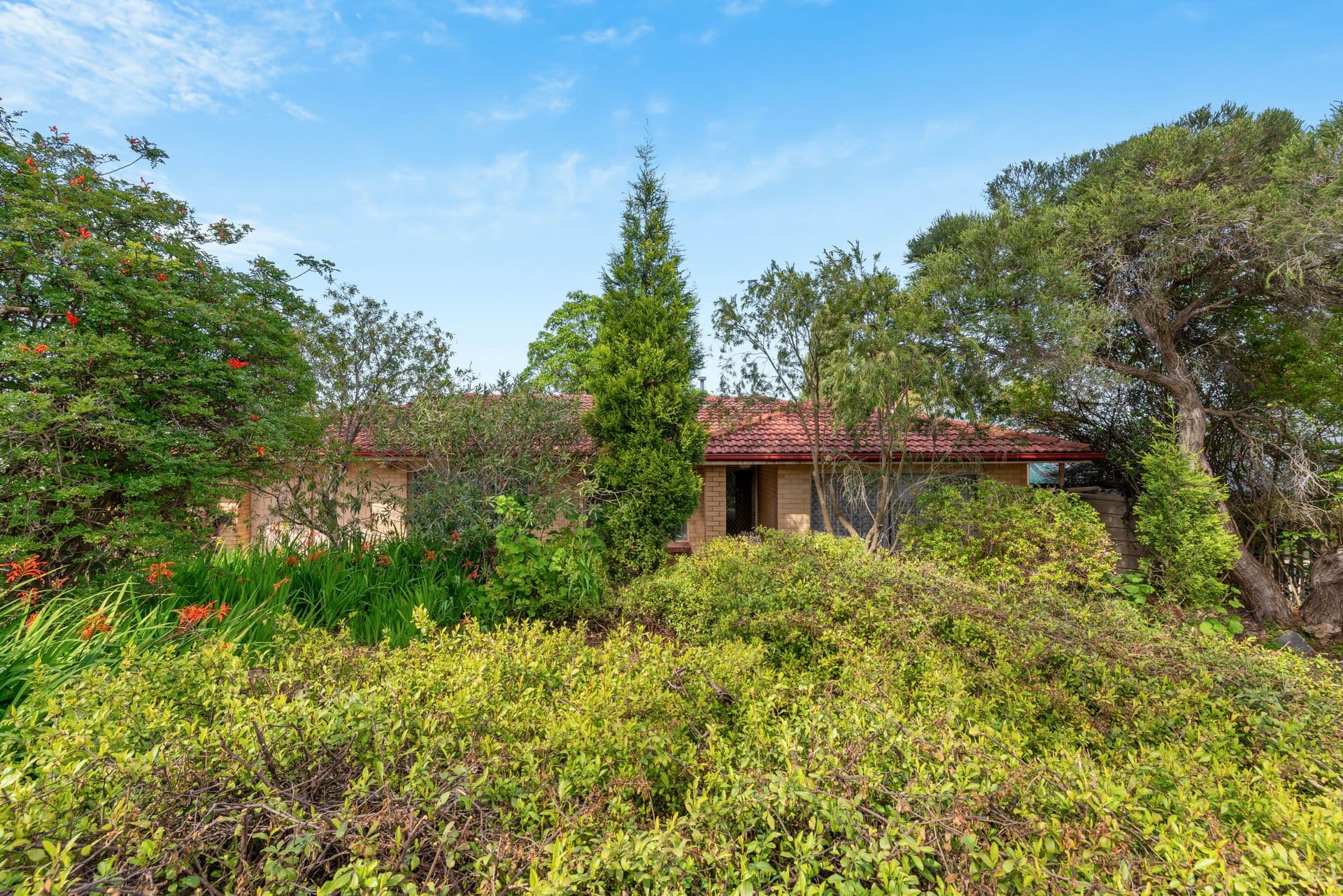5 Caspar Street, Fairview Park, SA, 5126, Fairview Park - Thumbnail 2