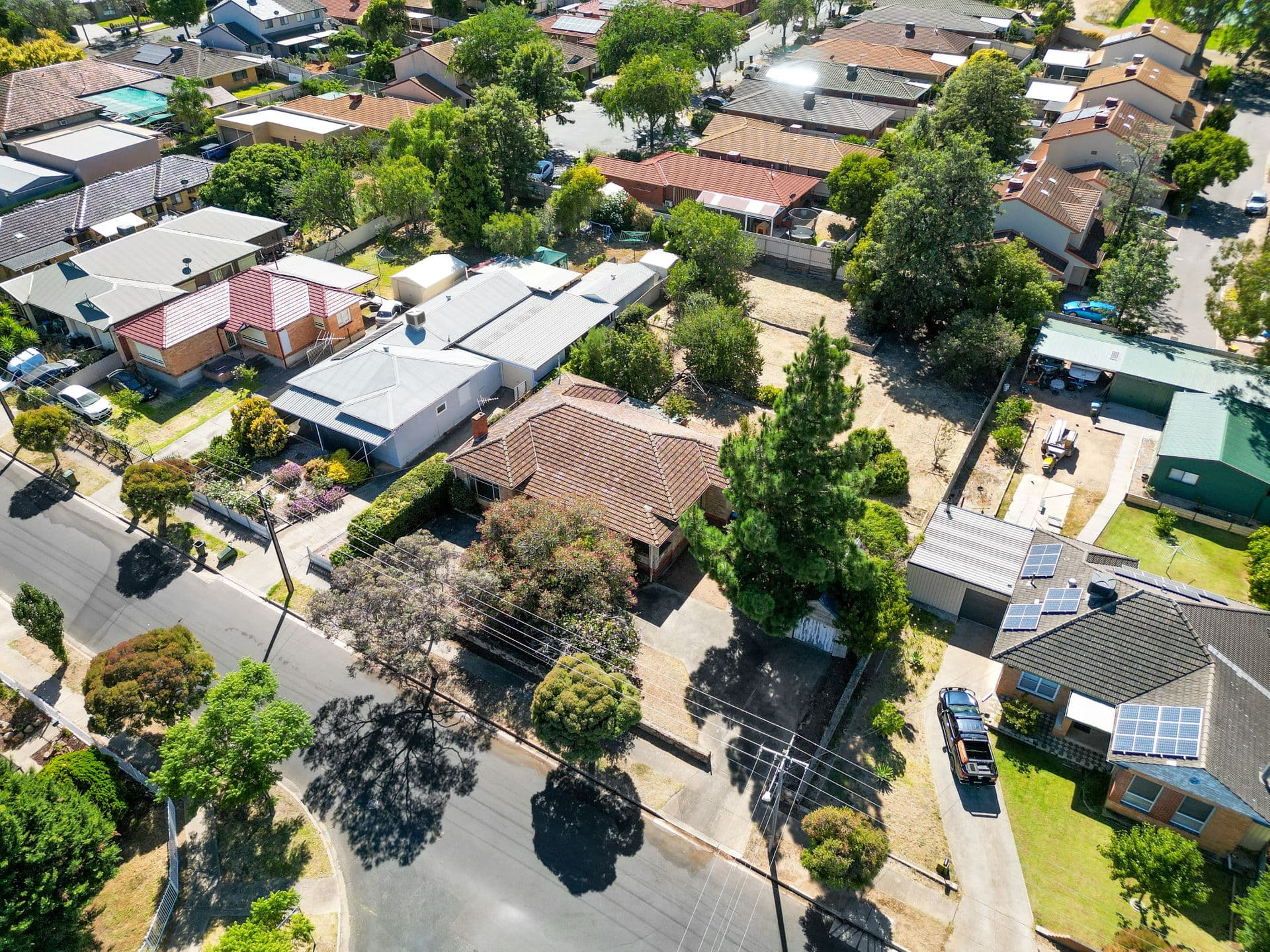 12 Calvert Street, Enfield, SA, 5085, Enfield - Thumbnail 5