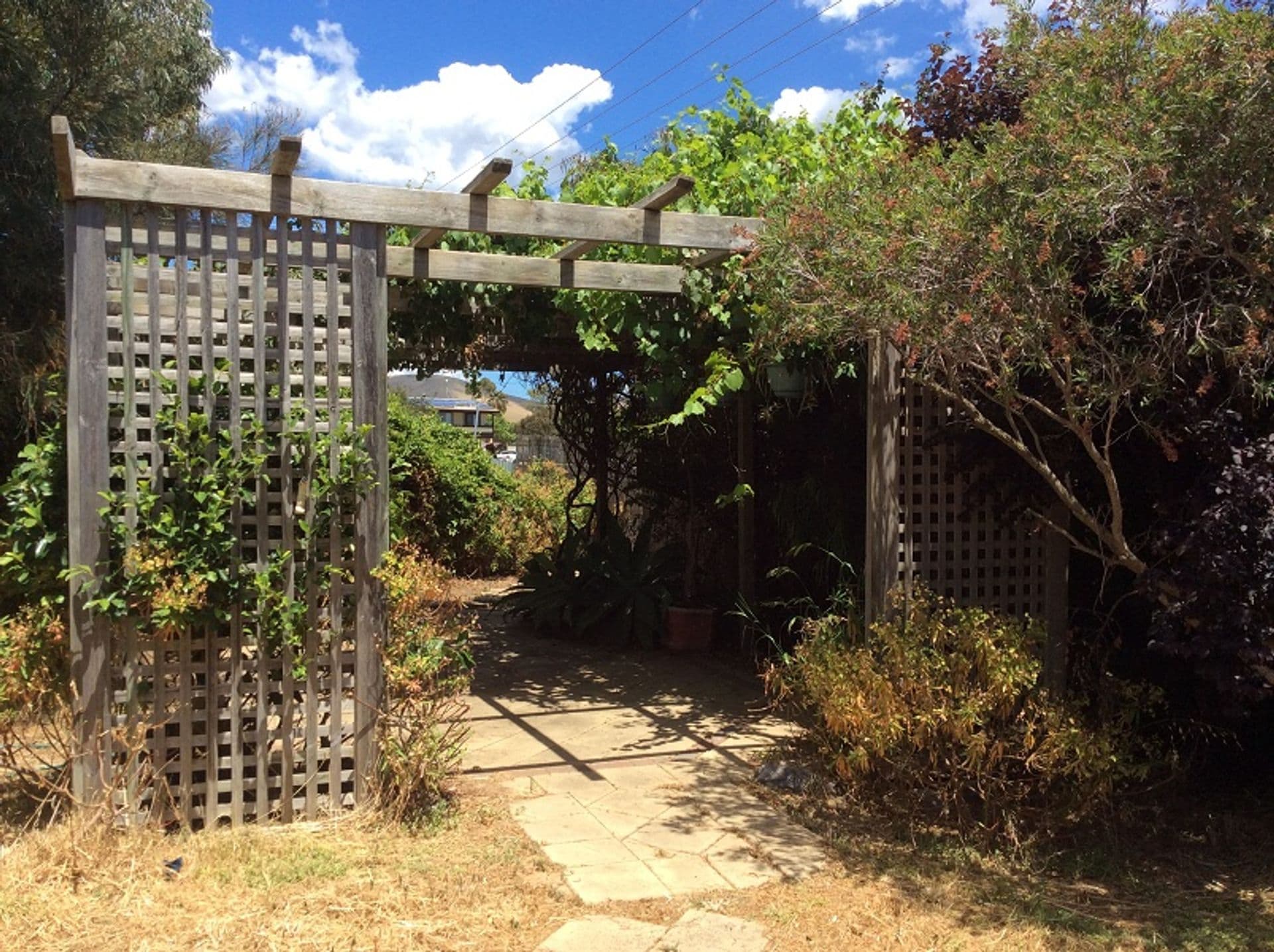 8 Lucerno Crescent, Sellicks Beach, SA, 5174, Sellicks Beach - Thumbnail 4