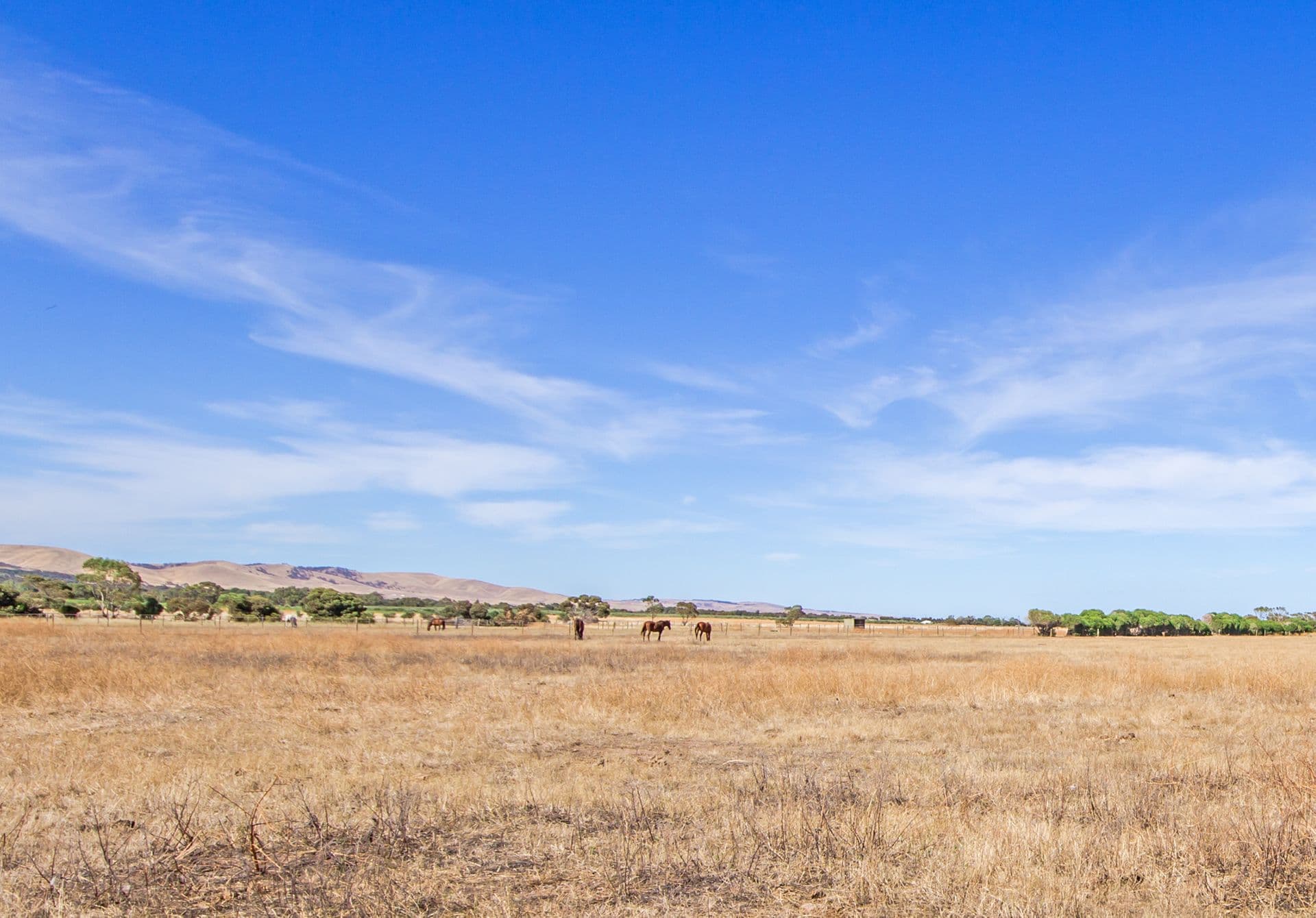 272 Plains Road, Sellicks Hill, SA, 5174, Sellicks Hill - Thumbnail 3