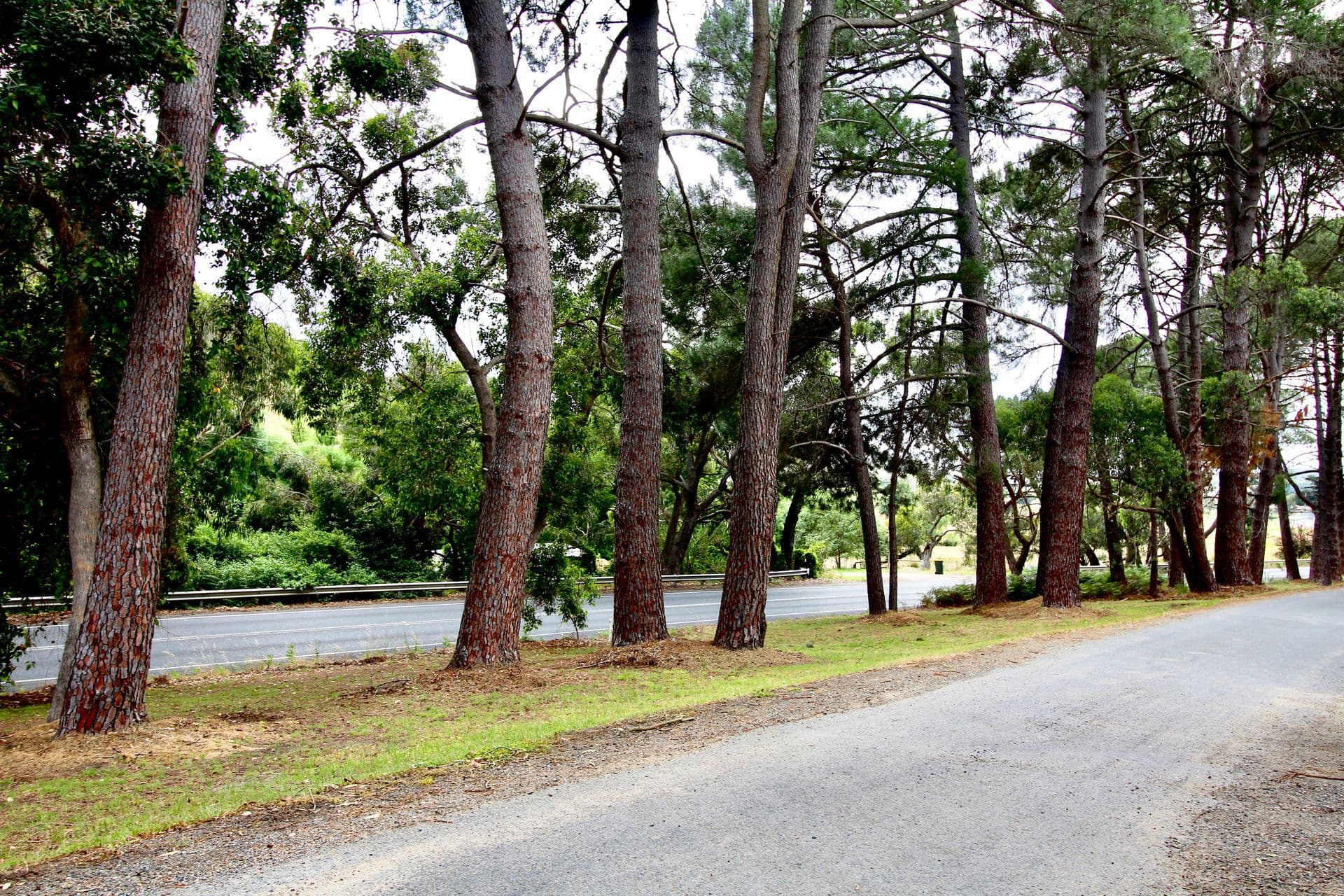 Lot 12 Peters Terrace, Mount Compass, SA, 5210, Mount Compass - Thumbnail 3