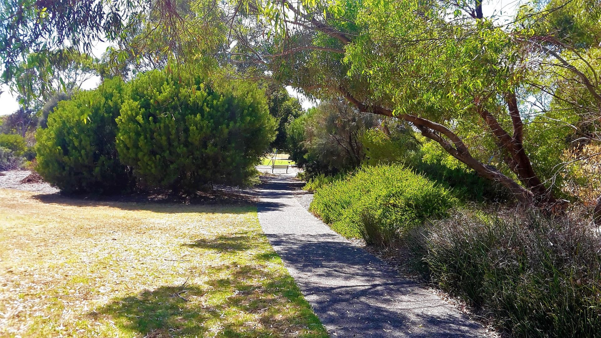 11  Lot, 18 Ocean Street, Aldinga Beach, SA, 5173, Aldinga Beach - Thumbnail 6
