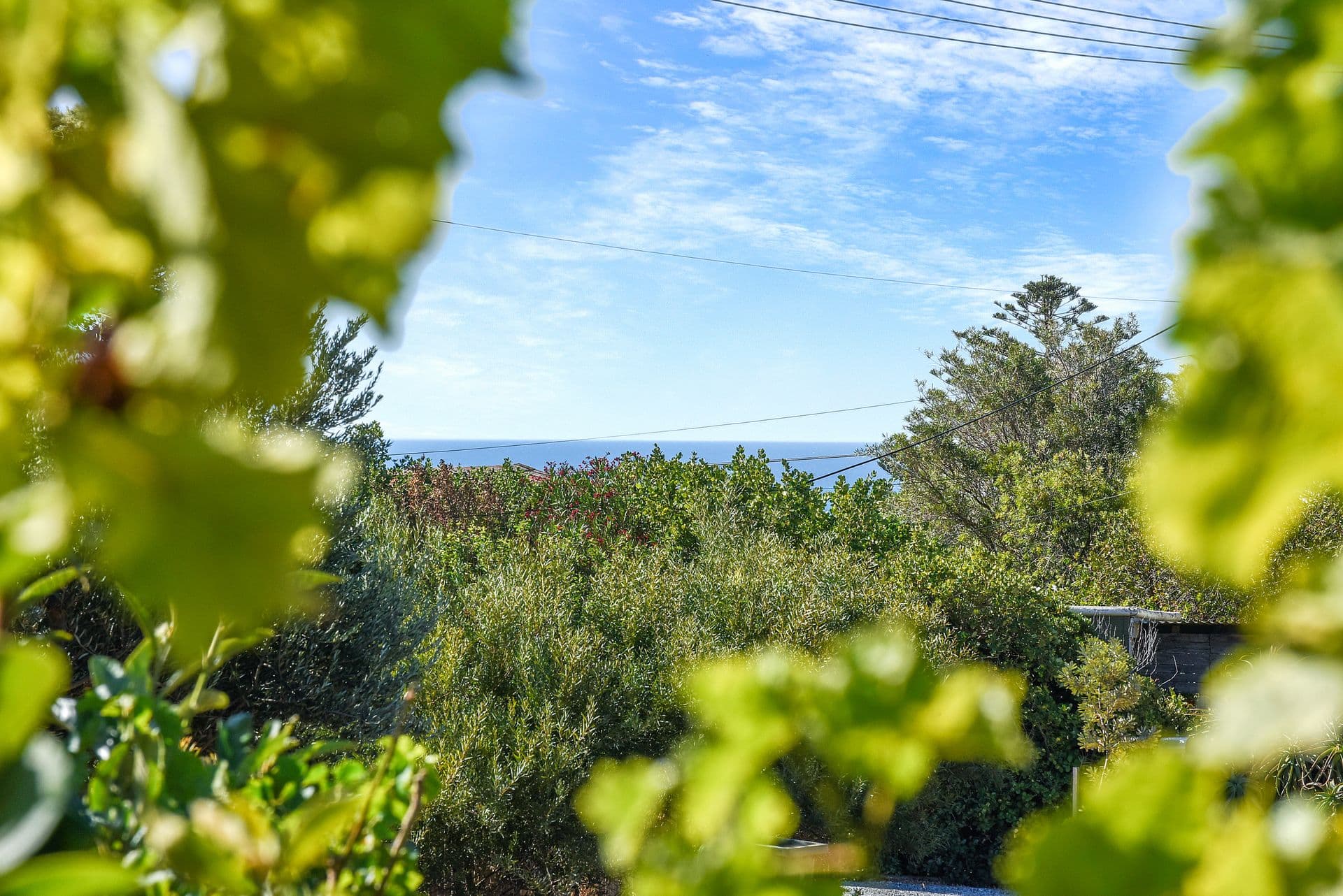 43 Wellington Avenue, Sellicks Beach, SA, 5174, Sellicks Beach - Thumbnail 4