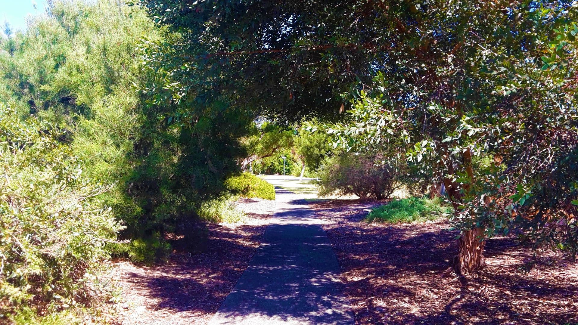 Lot 10 18 Ocean Street, Aldinga Beach, SA, 5173, Aldinga Beach - Thumbnail 5