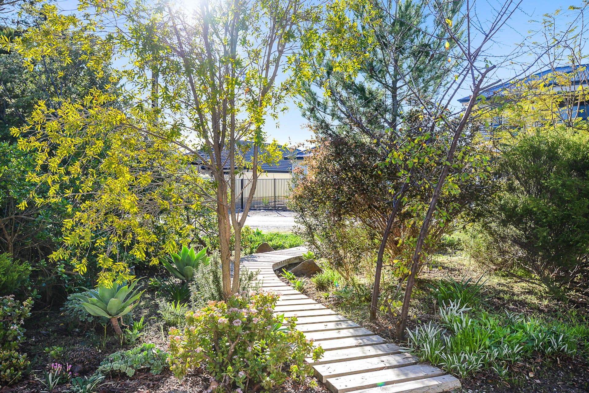 50 Whinnerah Avenue, Aldinga Beach, SA, 5173, Aldinga Beach - Thumbnail 5