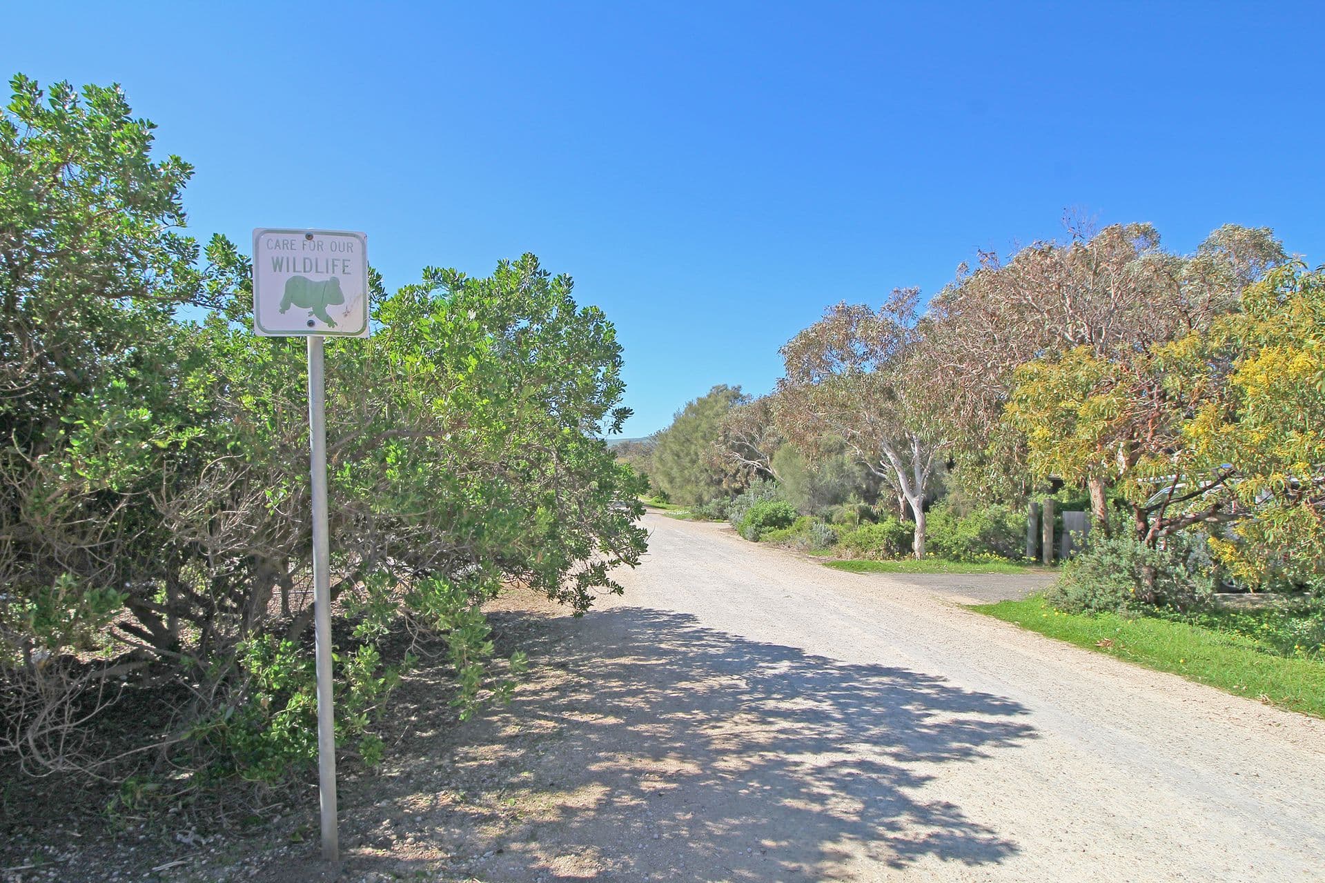 3 Cowrie Road, Aldinga Beach, SA, 5173, Aldinga Beach - Thumbnail 6
