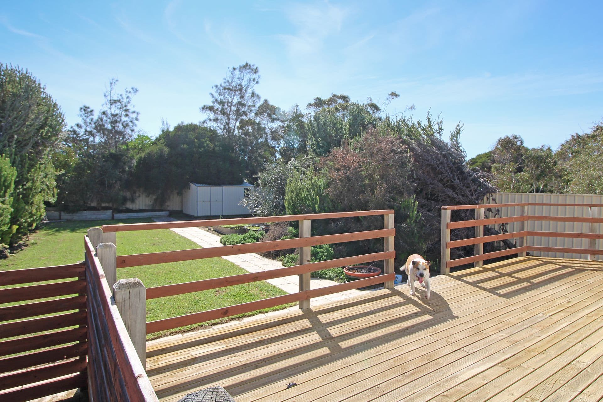 3 Cowrie Road, Aldinga Beach, SA, 5173, Aldinga Beach - Thumbnail 2