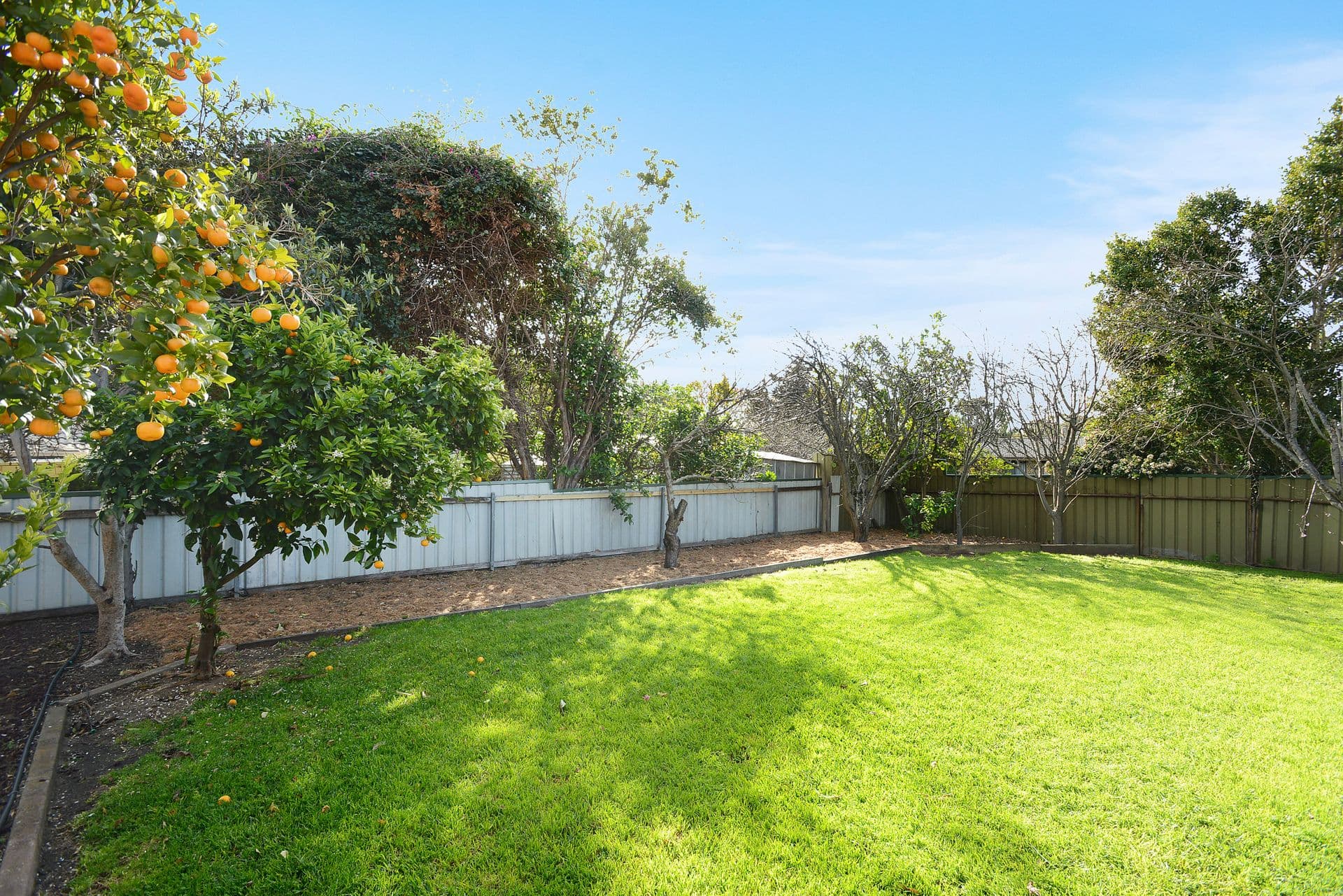 1 Lascelles Street, Morphett Vale, SA, 5162, Morphett Vale - Thumbnail 3