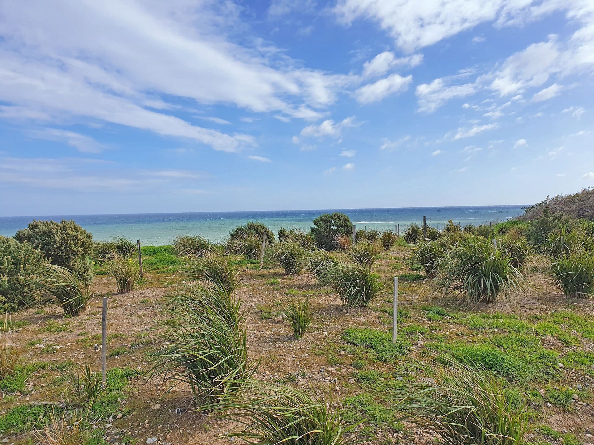 Lot 62 (152) Esplanade, Aldinga Beach, SA, 5173, Aldinga Beach - Thumbnail 7