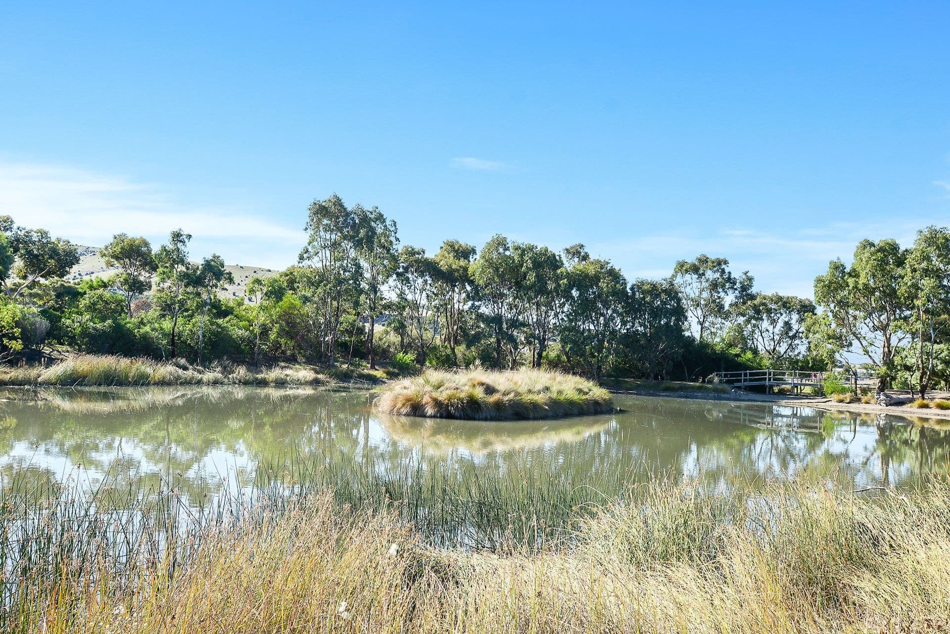 21 Needlebush Drive, Chiton, Hayborough, SA, 5211, Chiton - Thumbnail 7