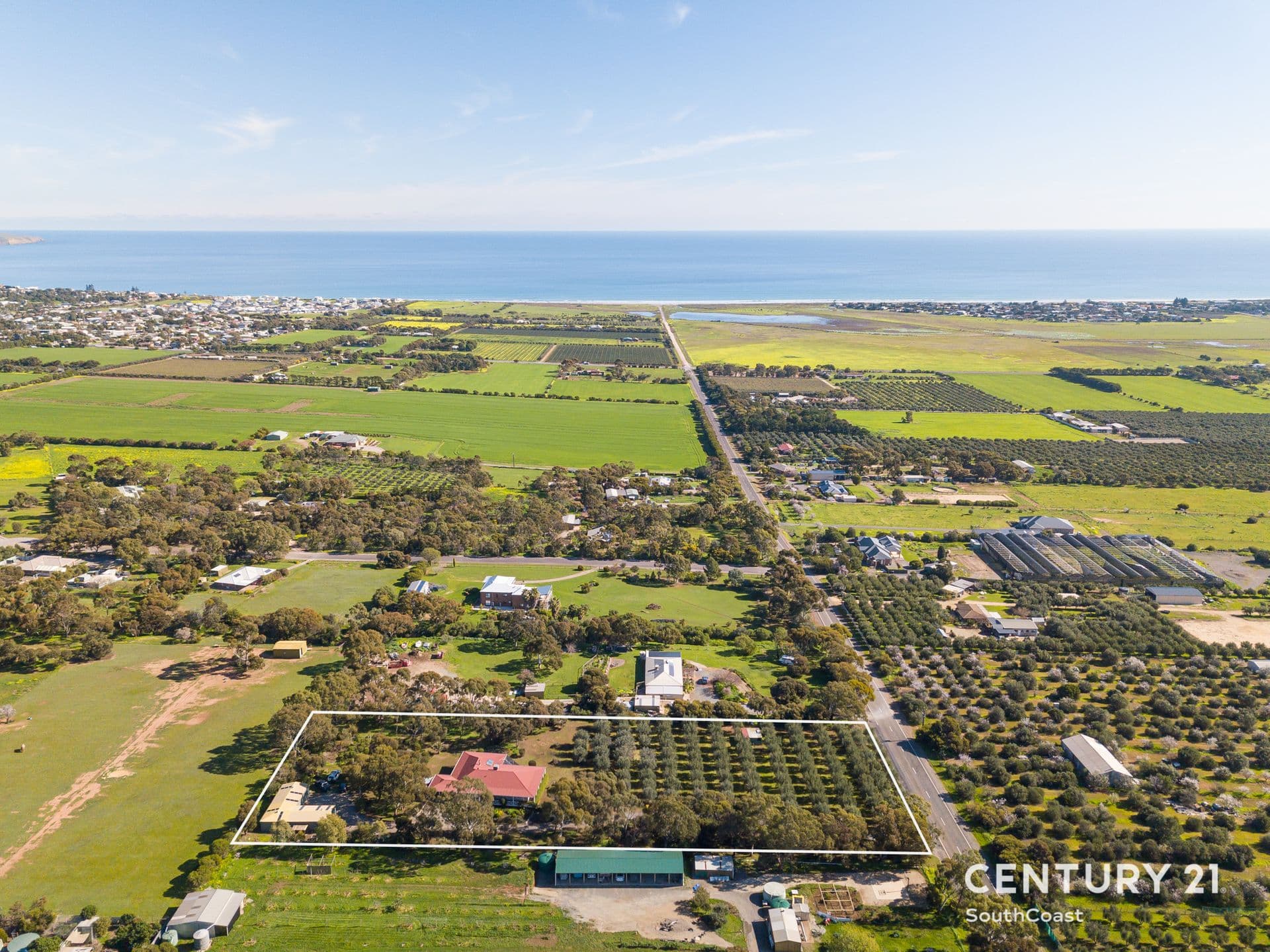 19 Button Road, Sellicks Beach, SA, 5174, Sellicks Beach - Thumbnail 4