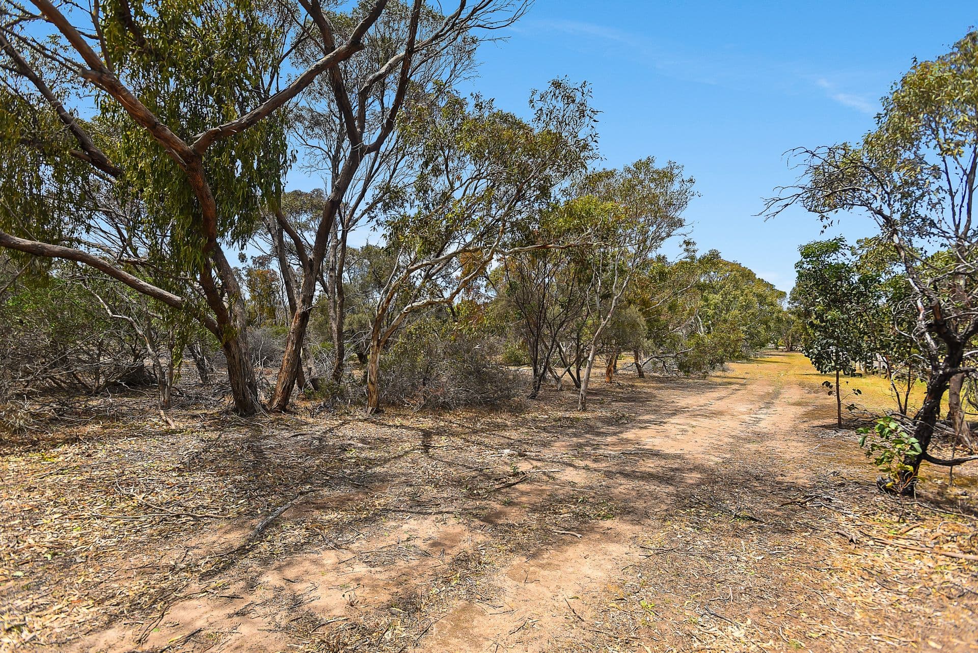 42 Dover Street, Aldinga Beach, SA, 5173, Aldinga Beach - Thumbnail 7
