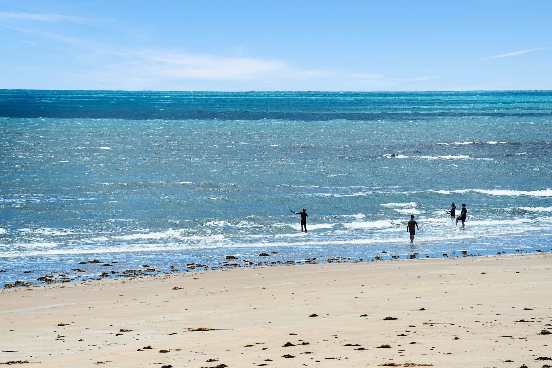 44 Dover Street, Aldinga Beach, SA, 5173, Aldinga Beach - Thumbnail 5