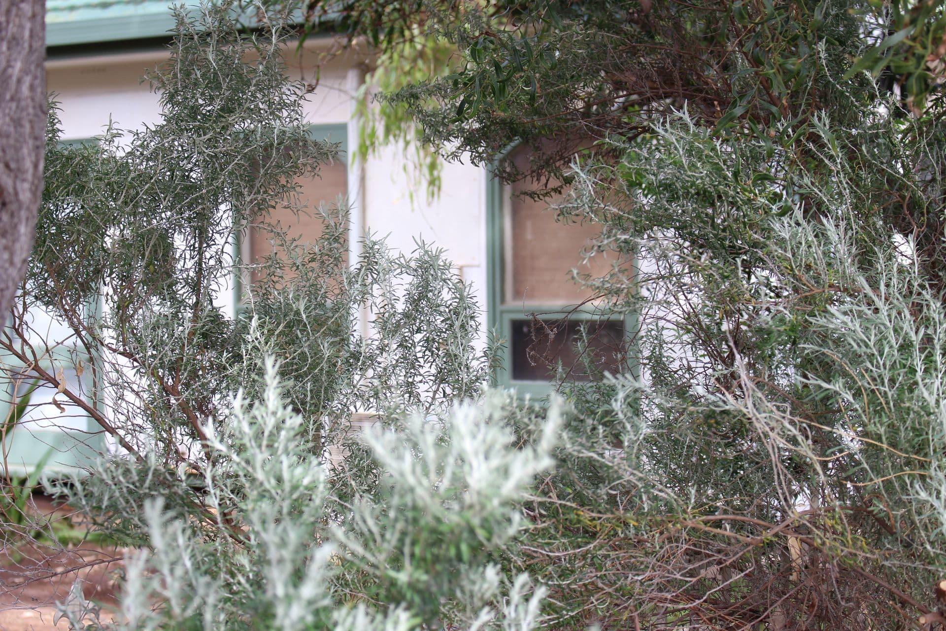 14 McDonald Avenue, Aldinga Beach, SA, 5173, Aldinga Beach - Thumbnail 4