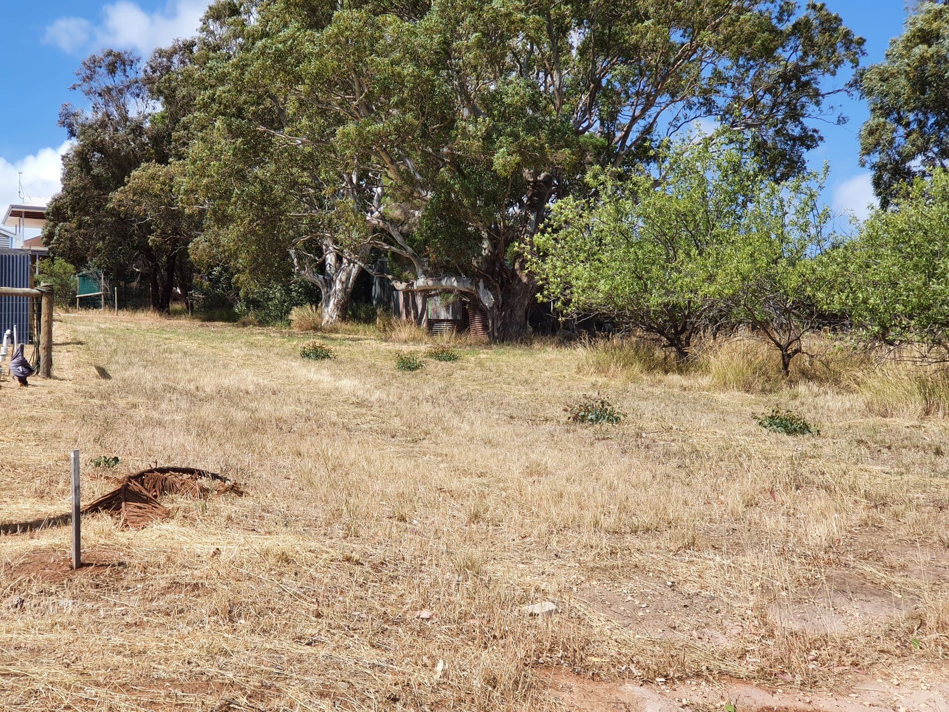 1 Panorama Crescent, Normanville, SA, 5204, Normanville - Thumbnail 4
