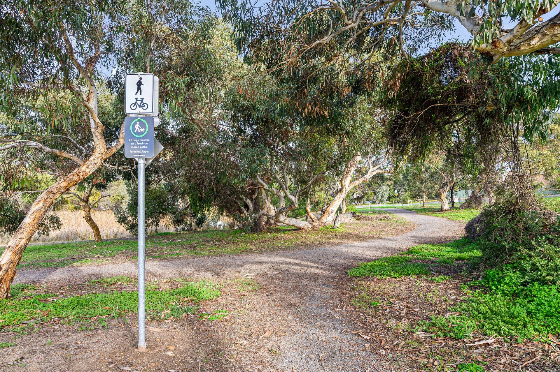 15 Seagull Street, Aldinga Beach, SA, 5173, Aldinga Beach - Thumbnail 4