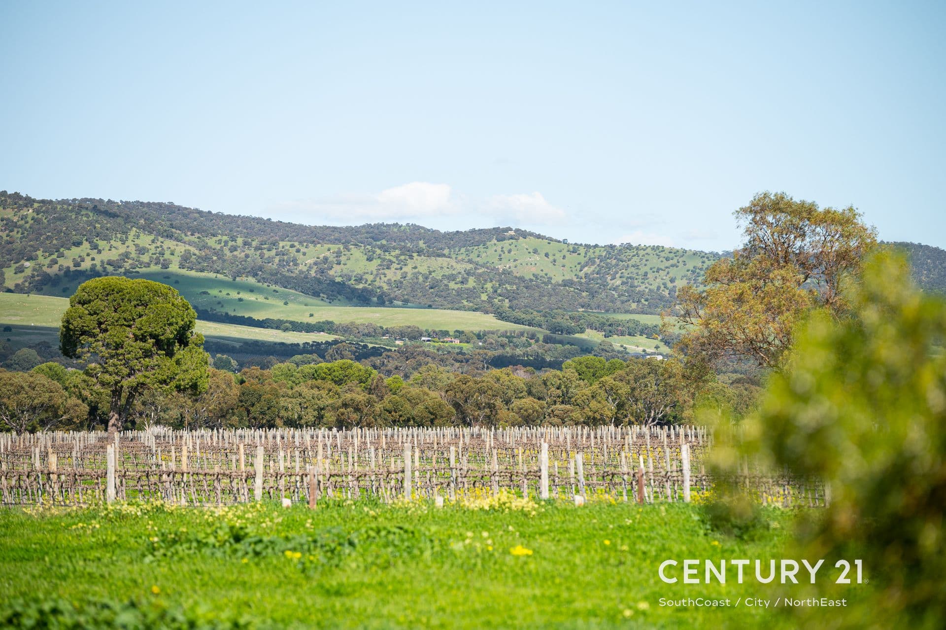 302 Colville Road, Sellicks Hill, SA, 5174, Sellicks Hill - Thumbnail 4