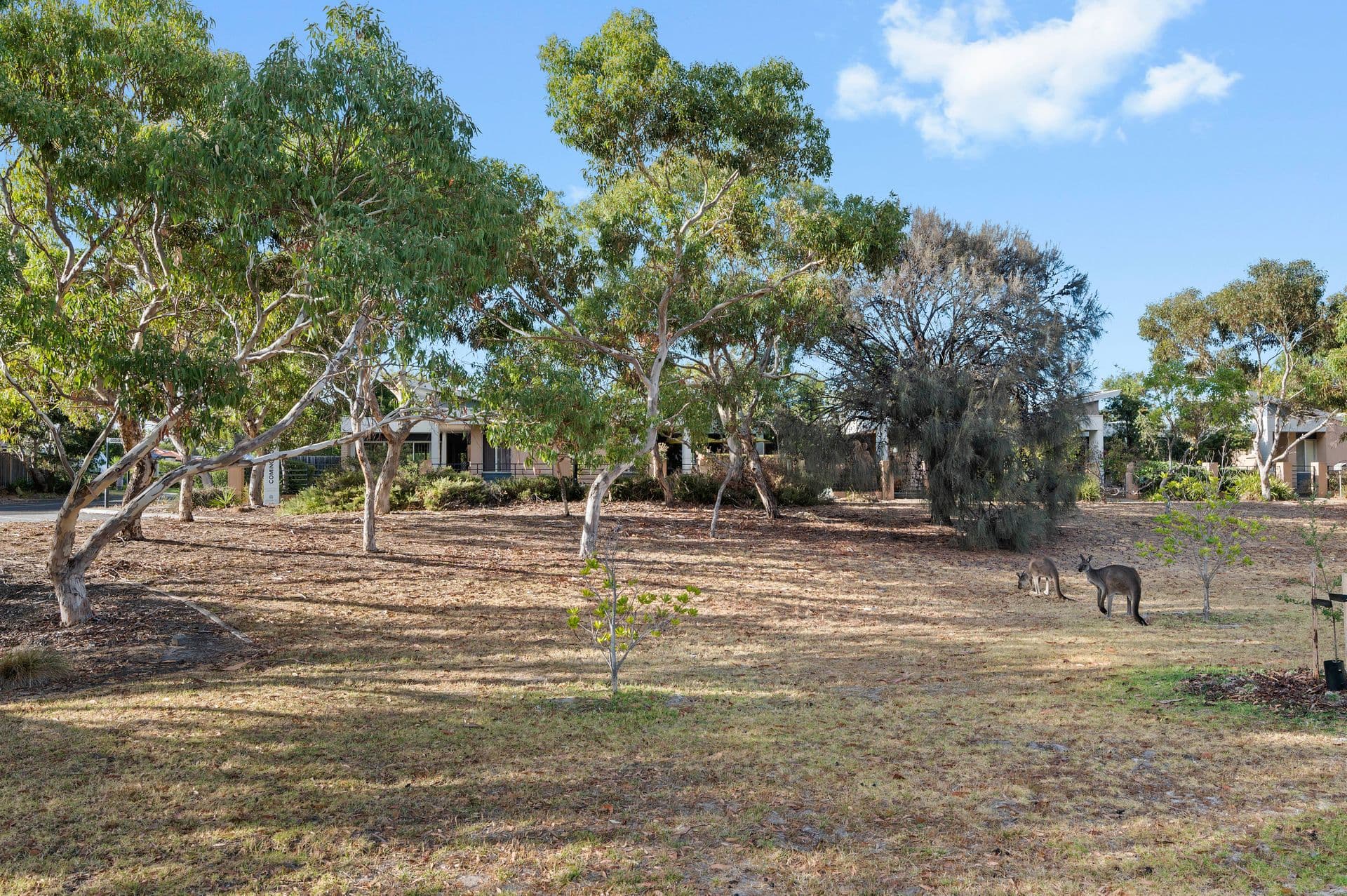 14 Goshawk Walk, Aldinga Beach, SA, 5173, Aldinga Beach - Thumbnail 3