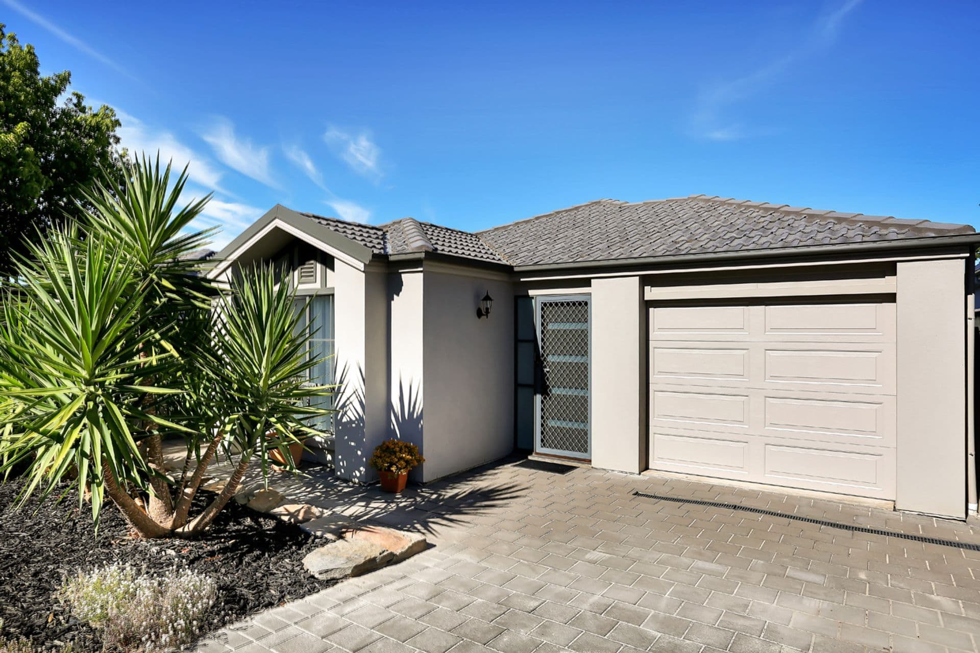 23 Mckay Ave, Windsor Gardens, SA, 5087, Windsor Gardens - Image 1