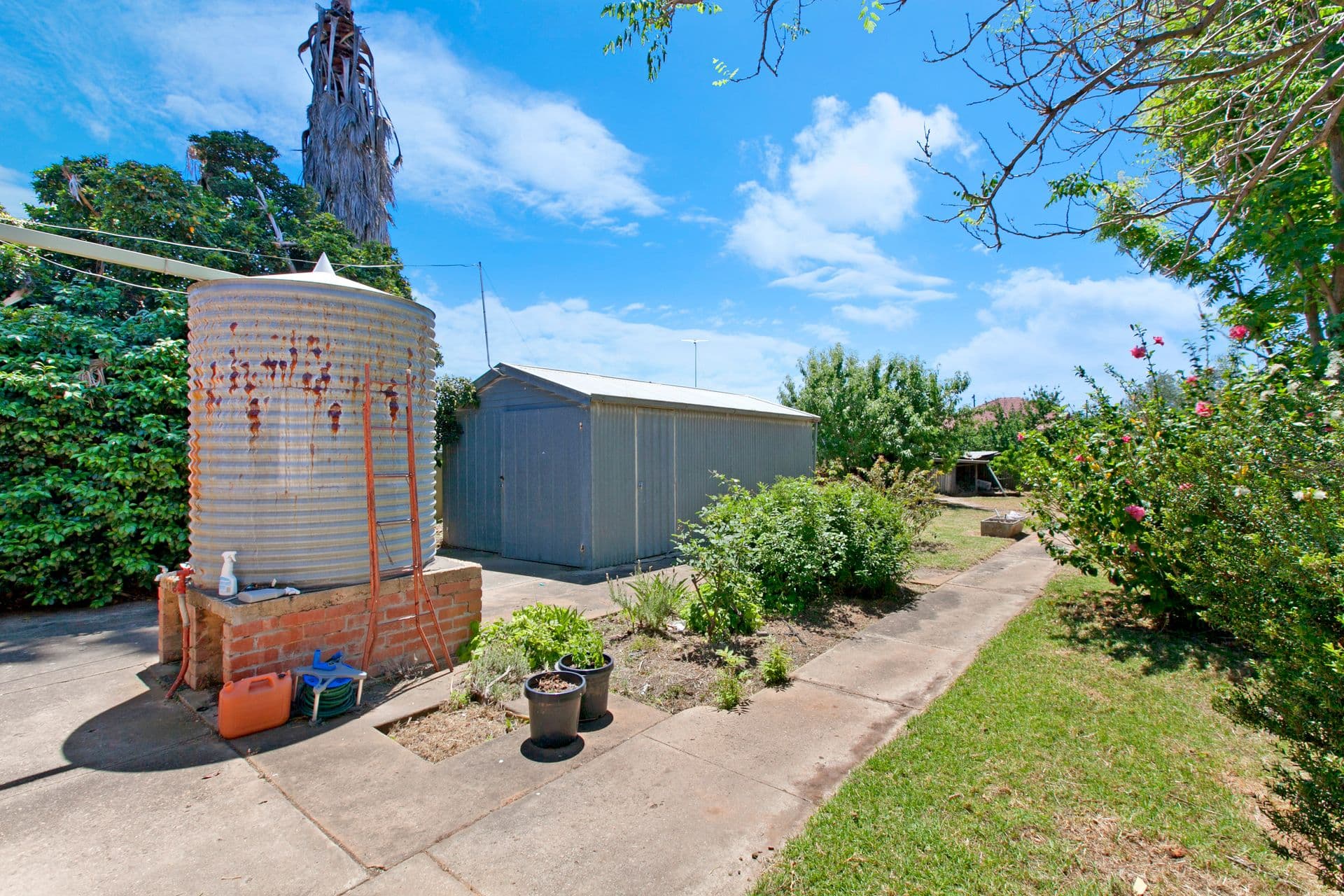 24 Auburn Crescent, Croydon Park, SA, 5008, Croydon Park - Thumbnail 7