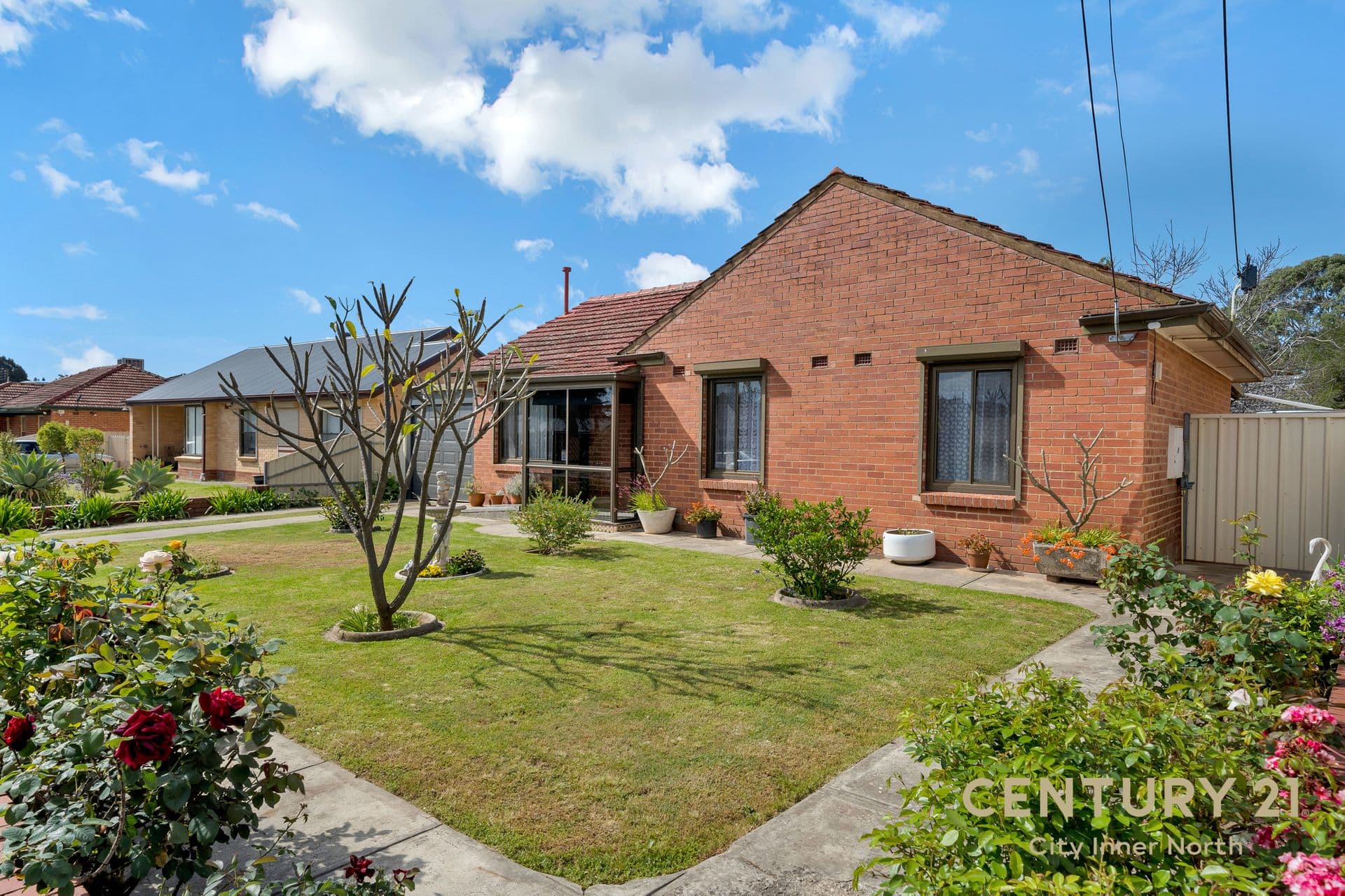 11 Laurel Ave, Campbelltown, SA, 5074, Campbelltown - Thumbnail 3