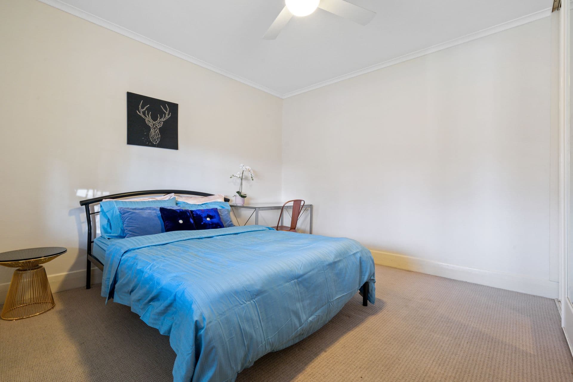 45 Hounslow Avenue, Cowandilla, SA, 5033, Cowandilla - Thumbnail 7
