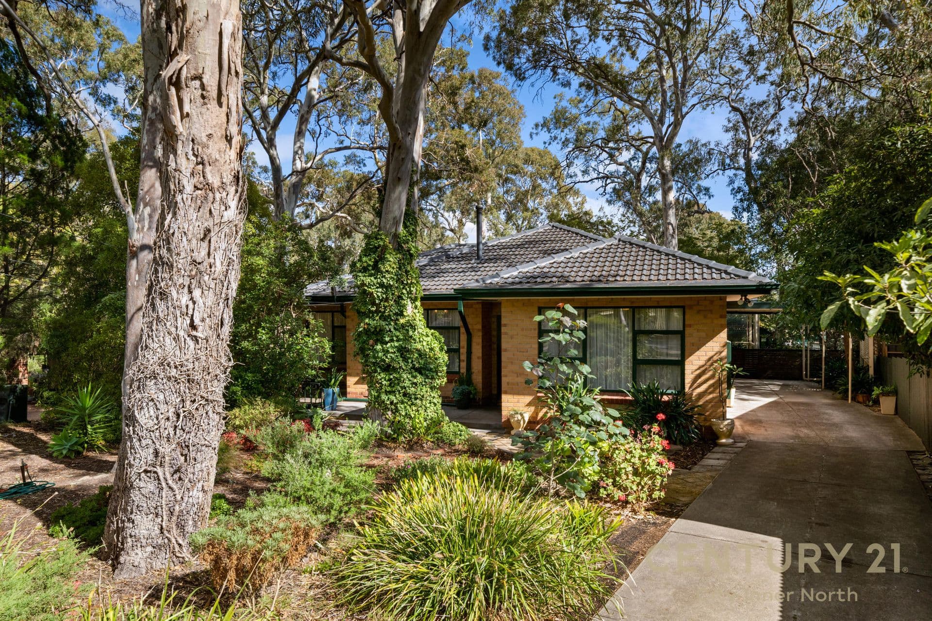 4 Tatiara Drive, Banksia Park, SA, 5091, Banksia Park - Image 1