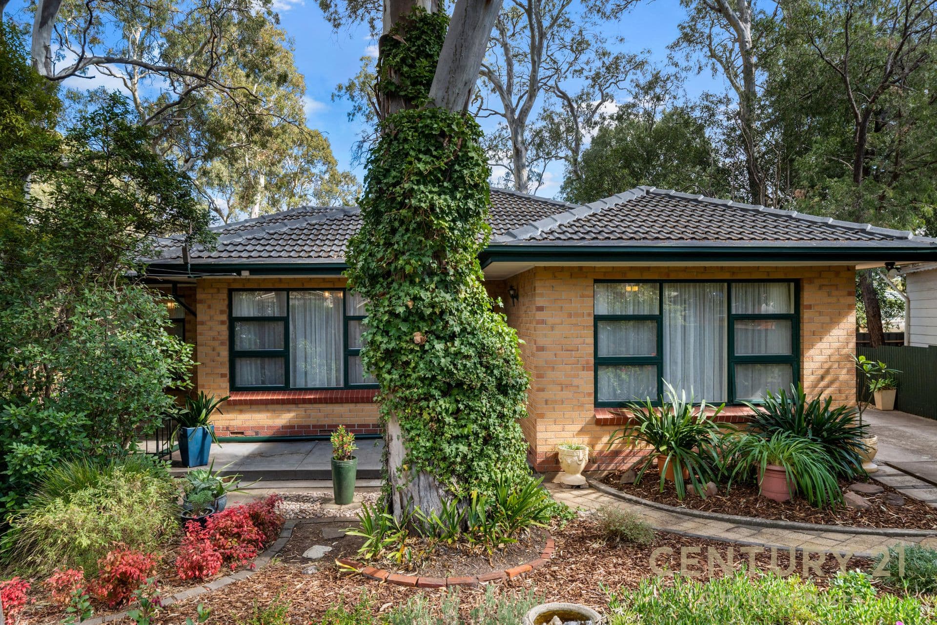 4 Tatiara Drive, Banksia Park, SA, 5091, Banksia Park - Thumbnail 2