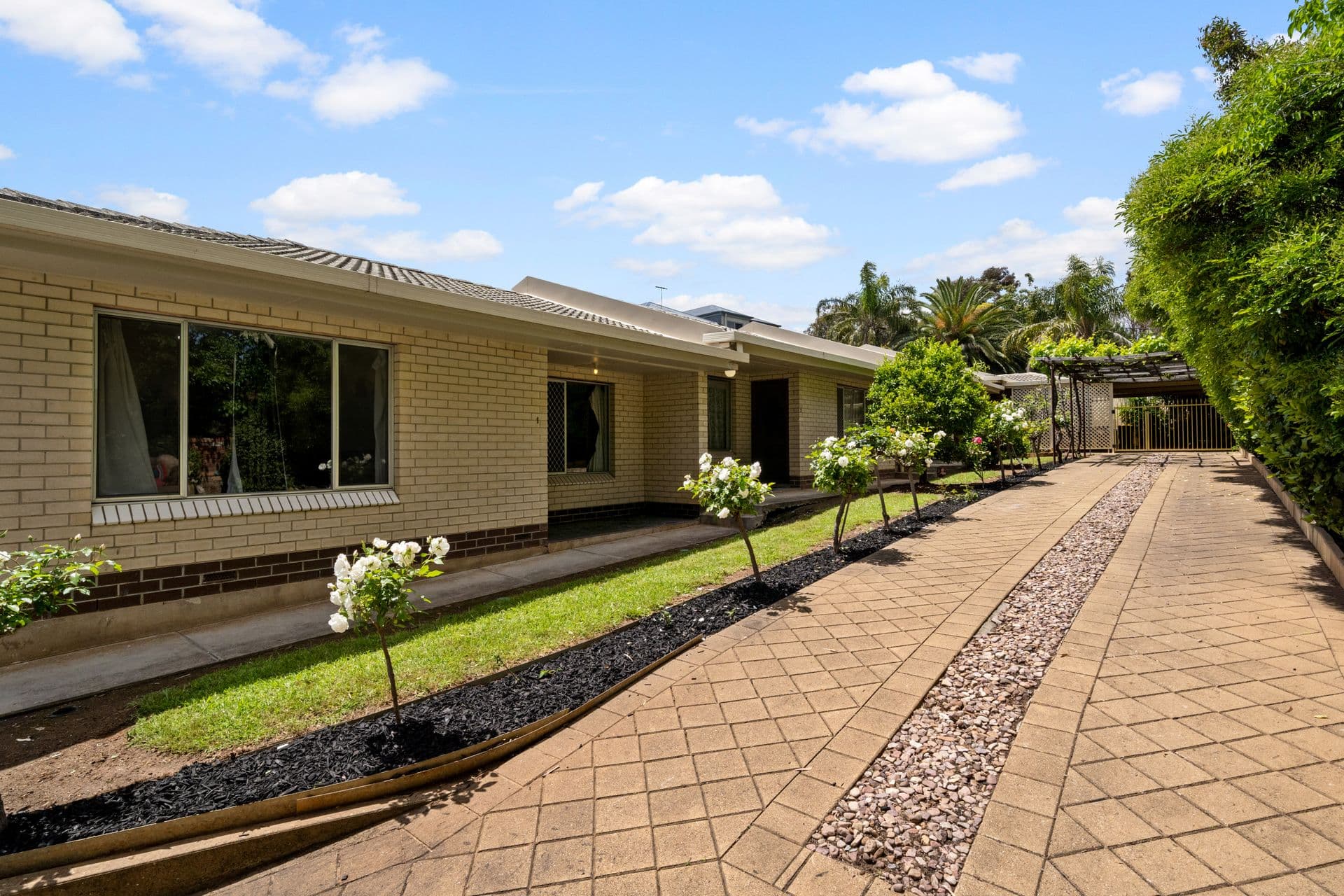 1-3/39 Gilbert St, Ovingham, SA, 5082, Ovingham - Thumbnail 3