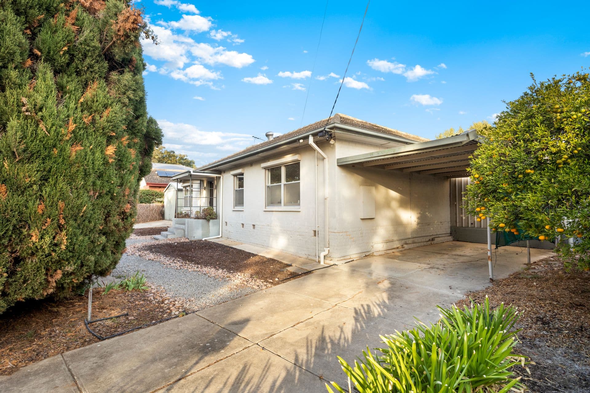 3 St Albans Place, Clearview, SA, 5085, Clearview - Thumbnail 2