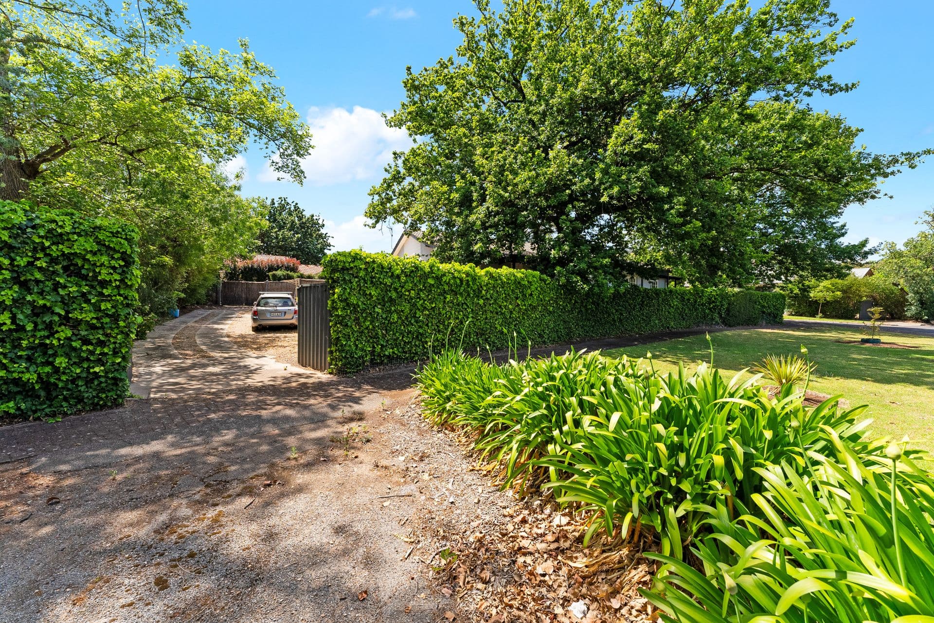 1B Brae Road, St Georges, SA, 5064, St Georges - Thumbnail 3