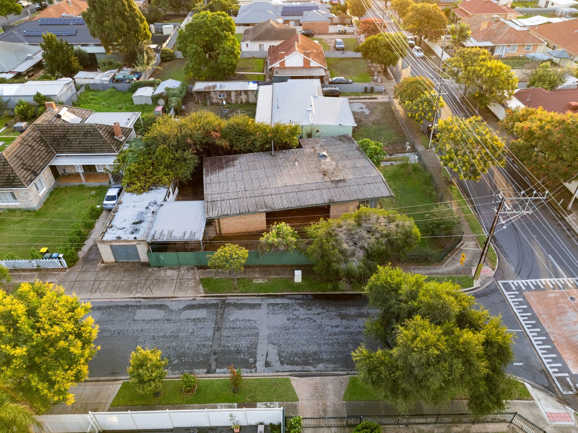 59b Collins Street, Enfield, SA, 5085, Enfield - Thumbnail 4