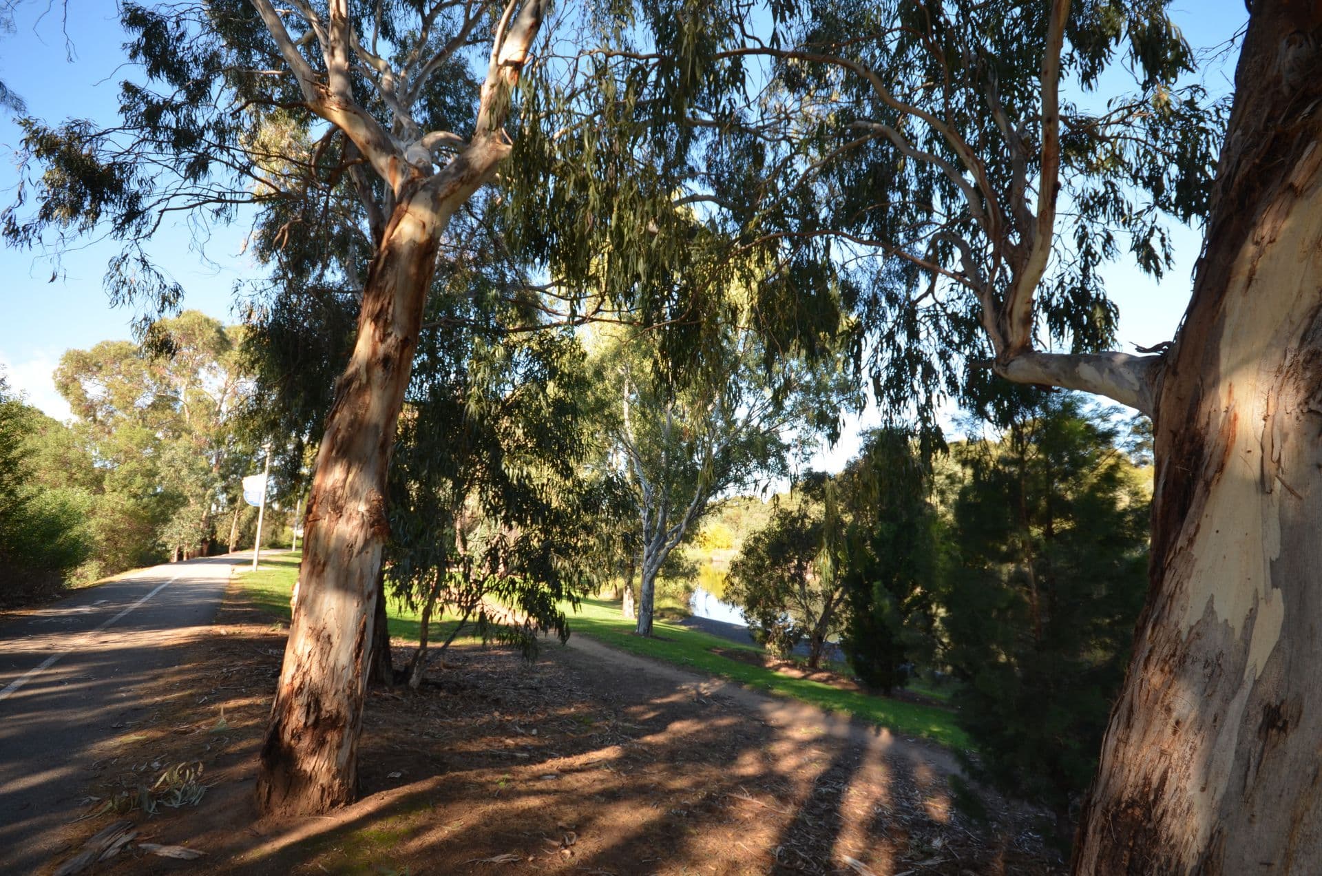 5/394 Henley Beach Road, Lockleys, SA, 5032, Flinders Park - Image 1