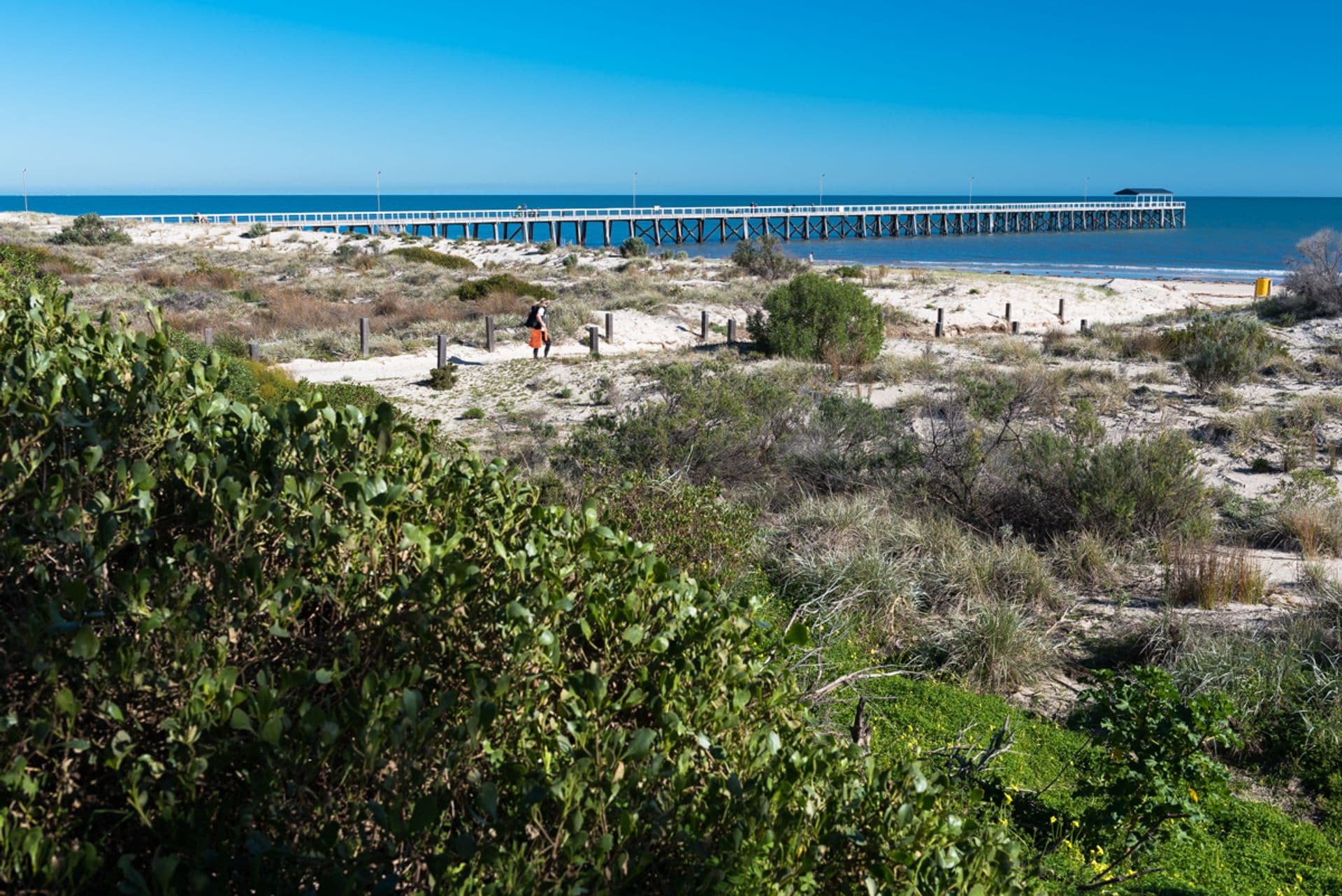 Lot 2 3  Seabreeze Street, Grange, SA, 5022, Grange - Thumbnail 4