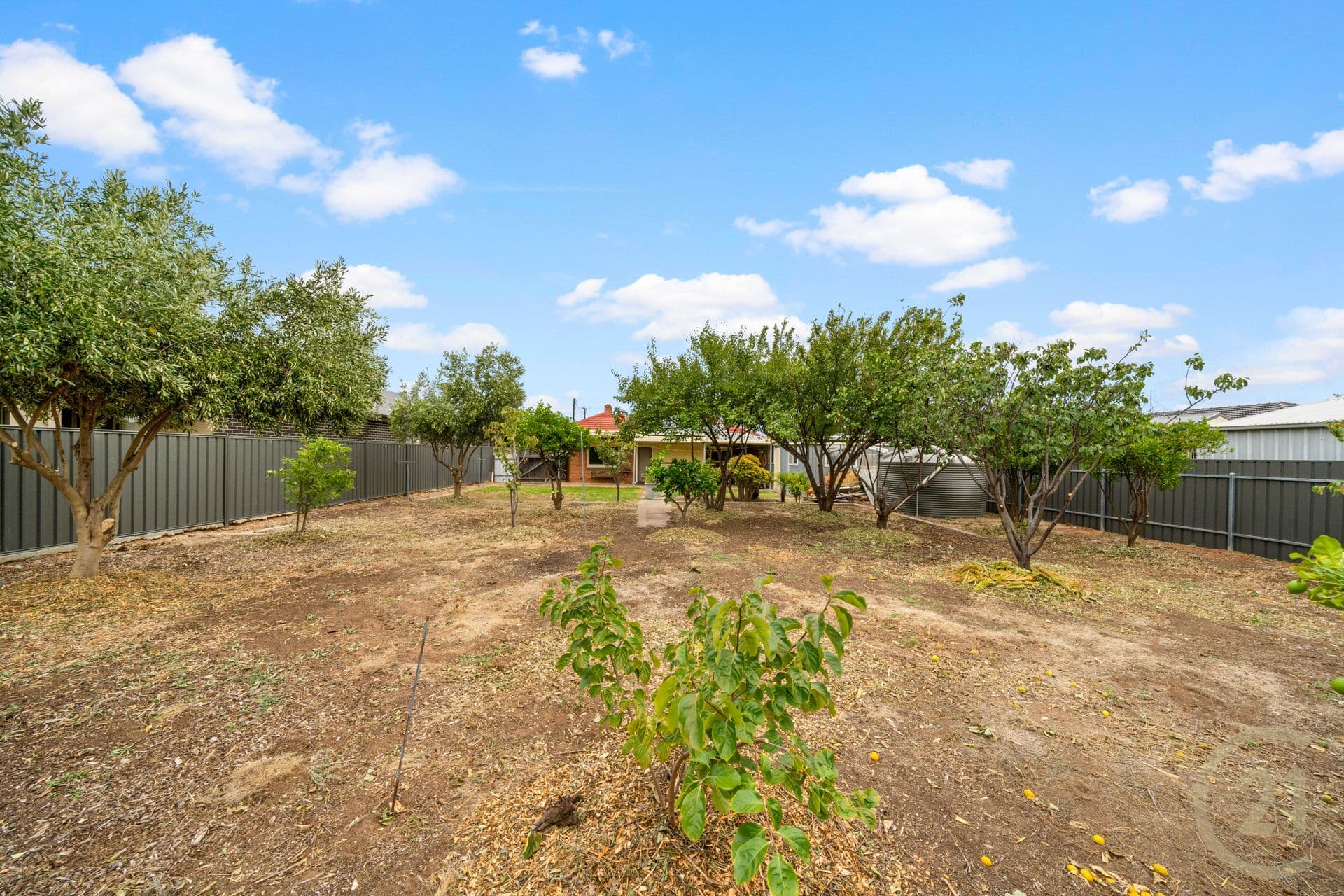 63 Barker Avenue, Flinders Park, SA, 5025, Flinders Park - Thumbnail 5