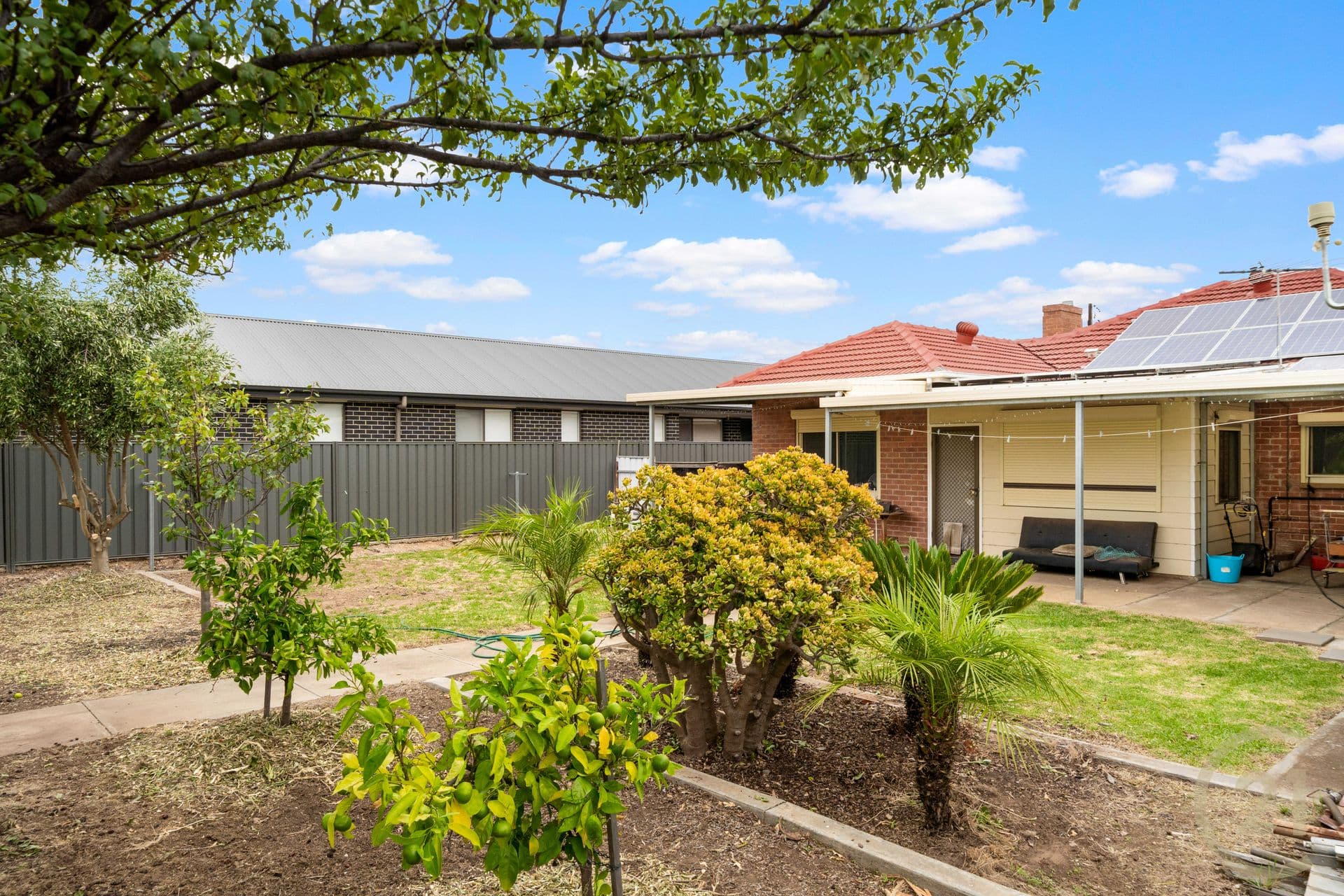 63 Barker Avenue, Flinders Park, SA, 5025, Flinders Park - Thumbnail 6