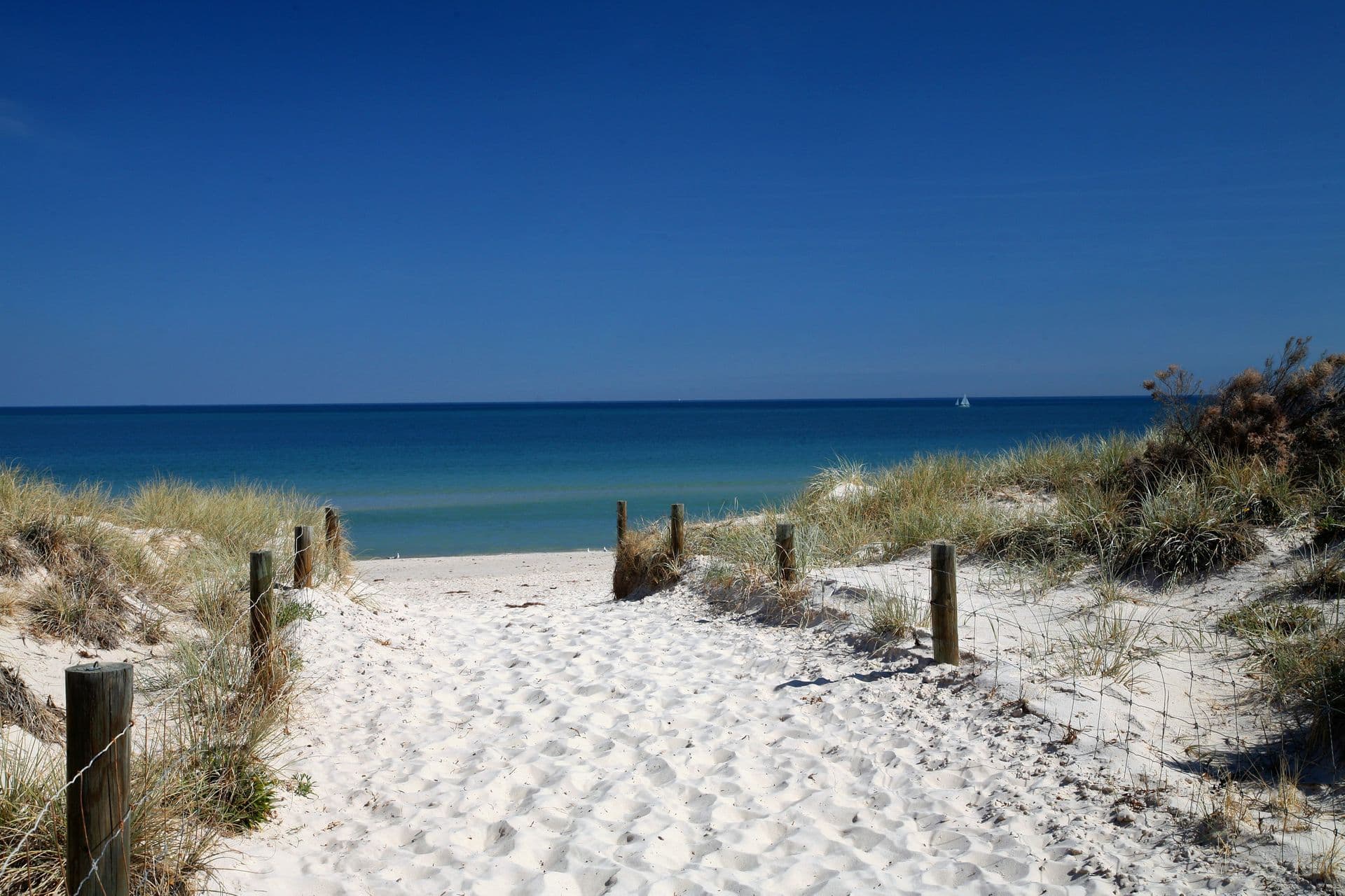5/394 Henley Beach Road, Lockleys, SA, 5032, West Beach - Thumbnail 3