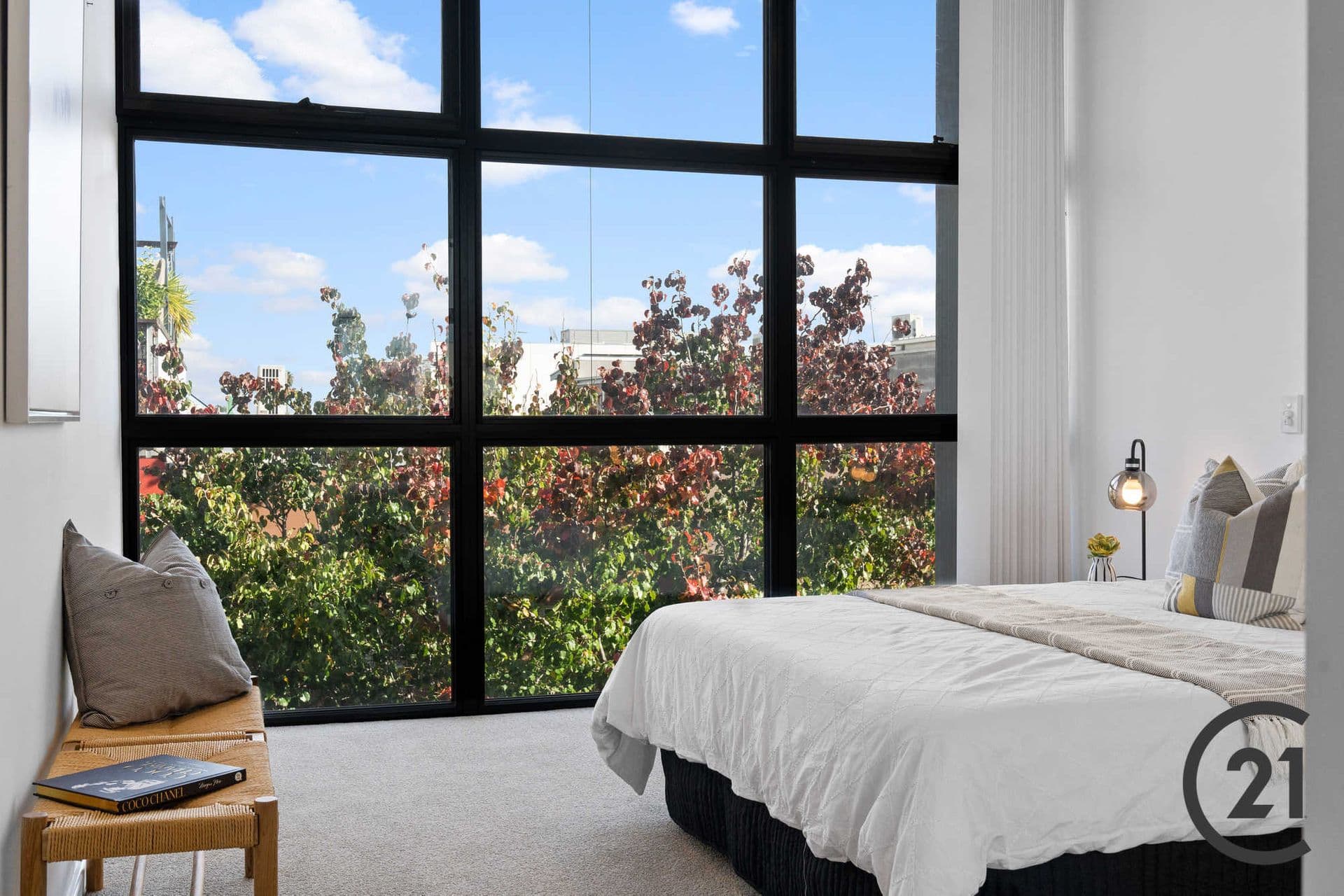 12 Owen Street, Adelaide, SA, 5000, Adelaide - Thumbnail 5