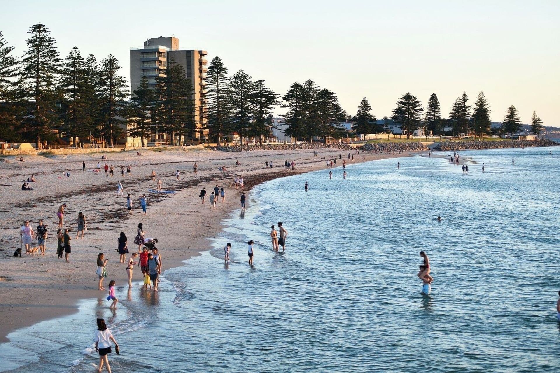3/622 Anzac Highway, Glenelg East, SA, 5045, Glenelg East - Thumbnail 8