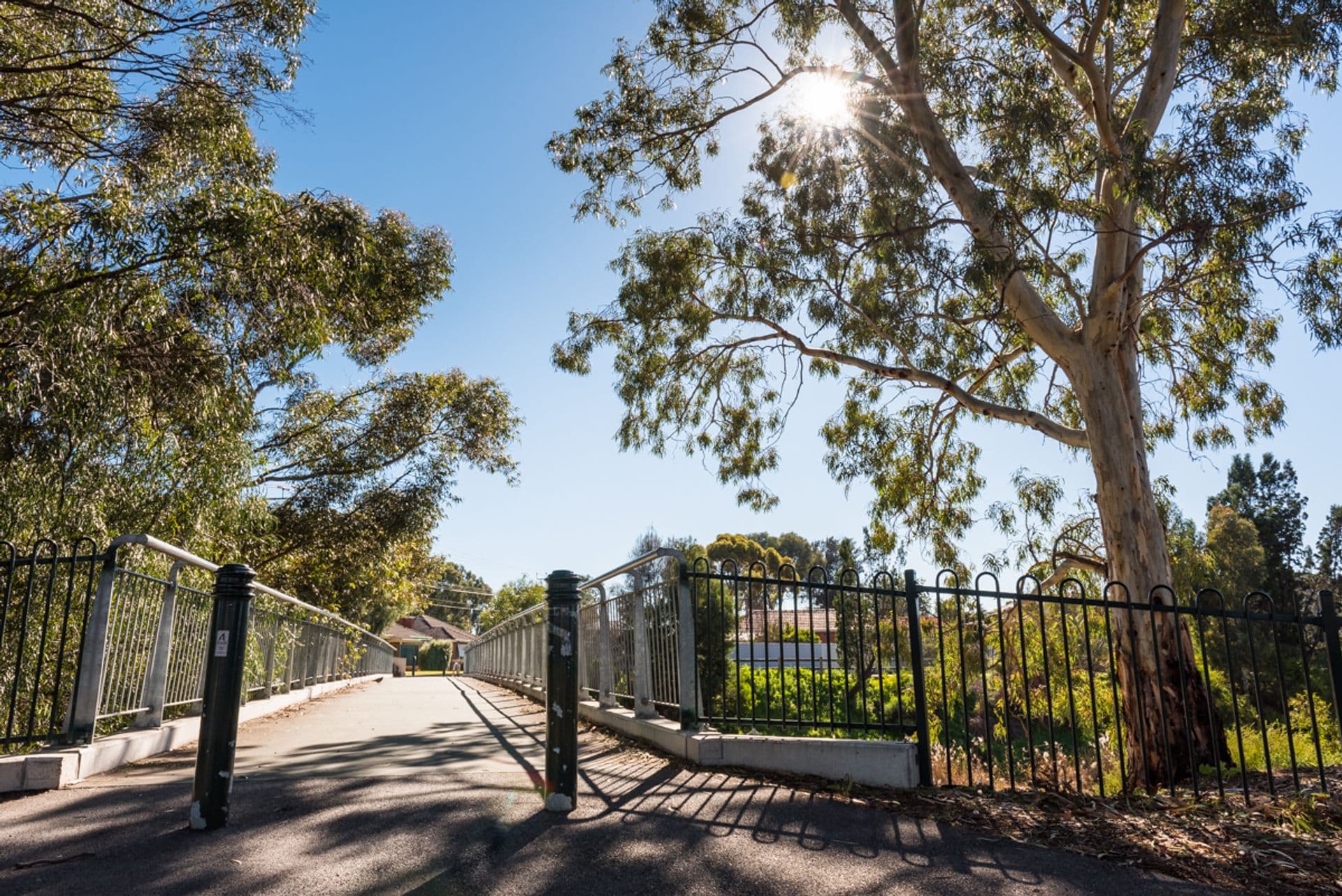 6 Stuckey Avenue, Underdale, SA, 5032, Underdale - Thumbnail 4