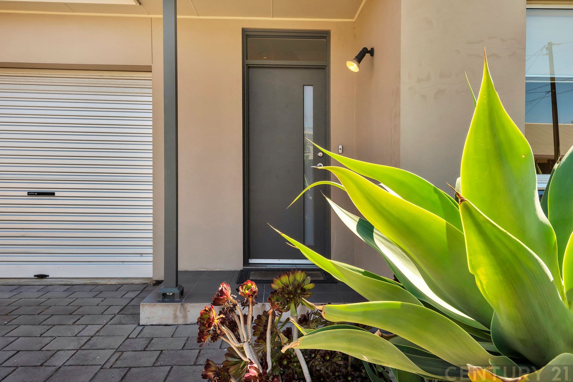 17 Brookman Street, Osborne, SA, 5017, Osborne - Thumbnail 5