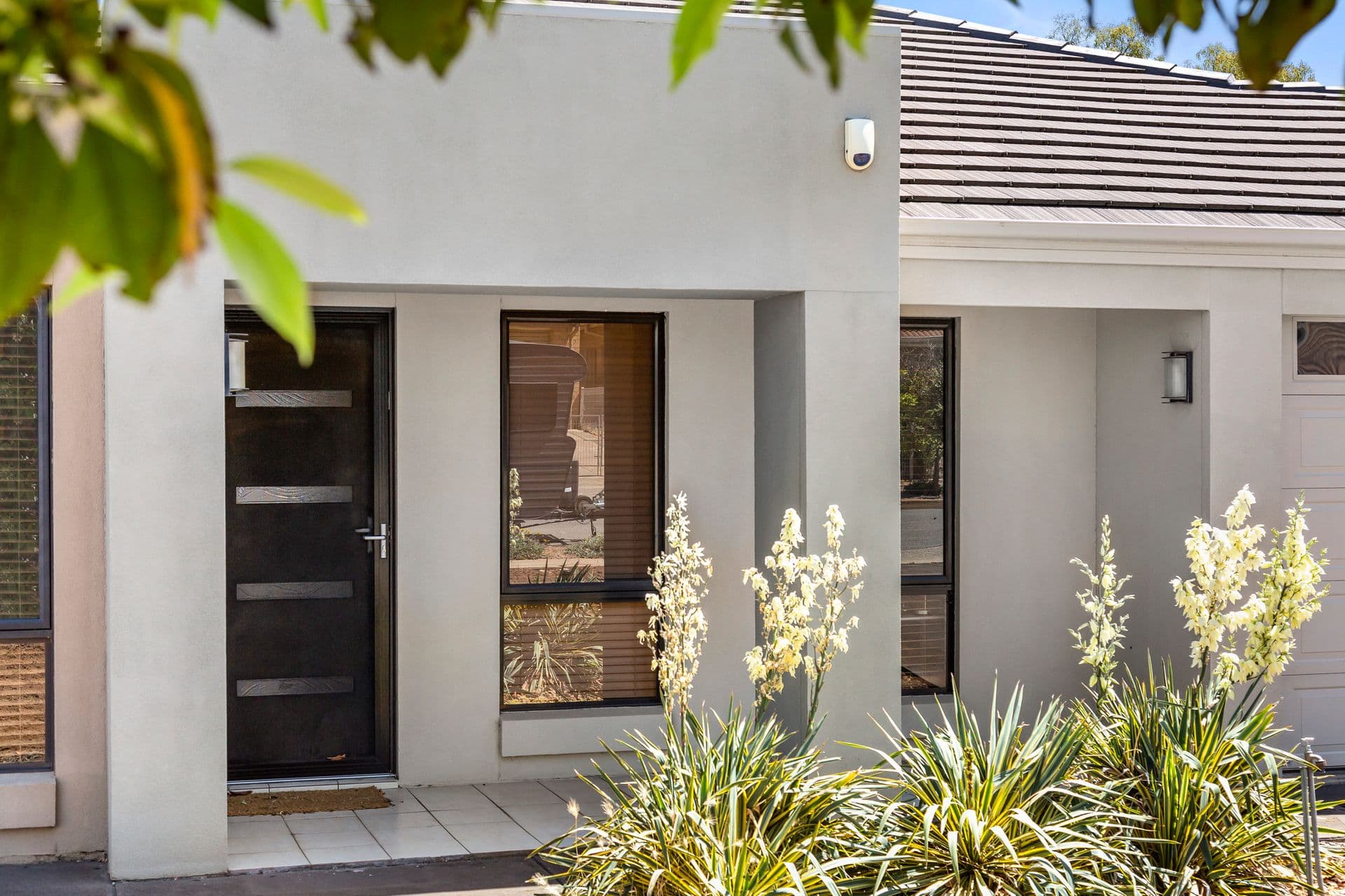 7B Hope Street, Dover Gardens, SA, 5048, Dover Gardens - Thumbnail 5