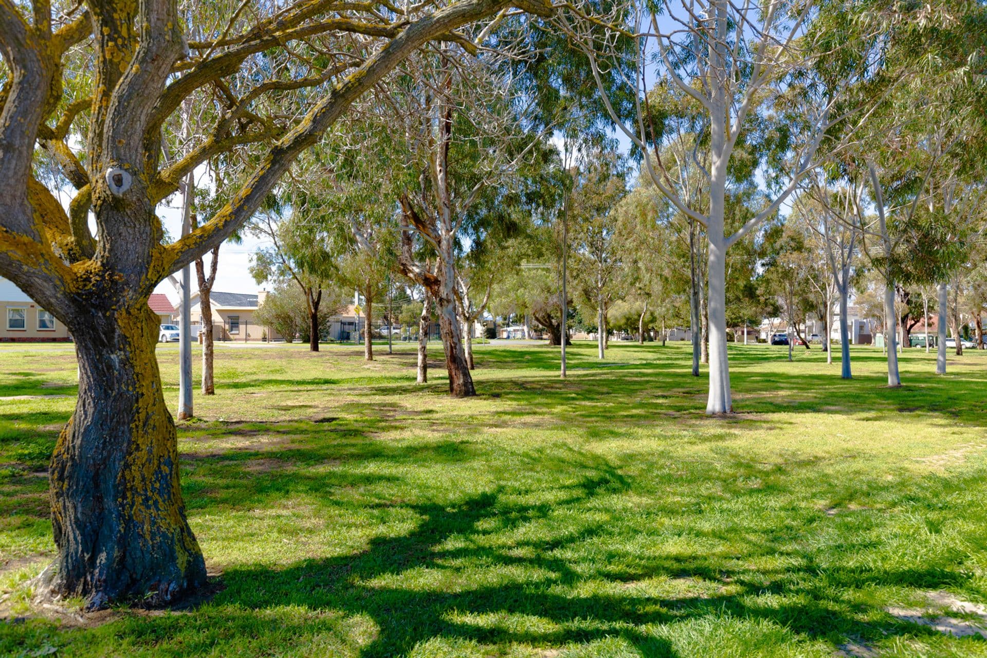 22 Kincaid Road, Henley Beach South, SA, 5022, Henley Beach South - Thumbnail 3