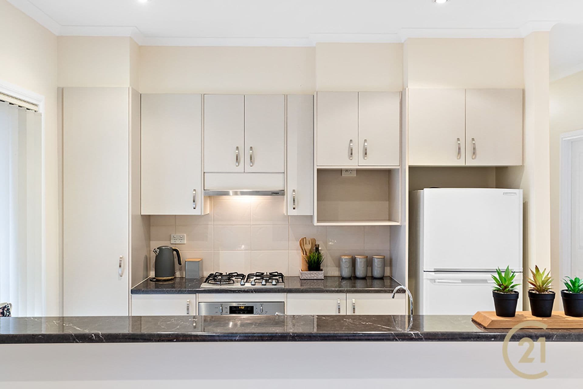34 Salisbury Street, West Richmond, SA, 5033, West Richmond - Thumbnail 4