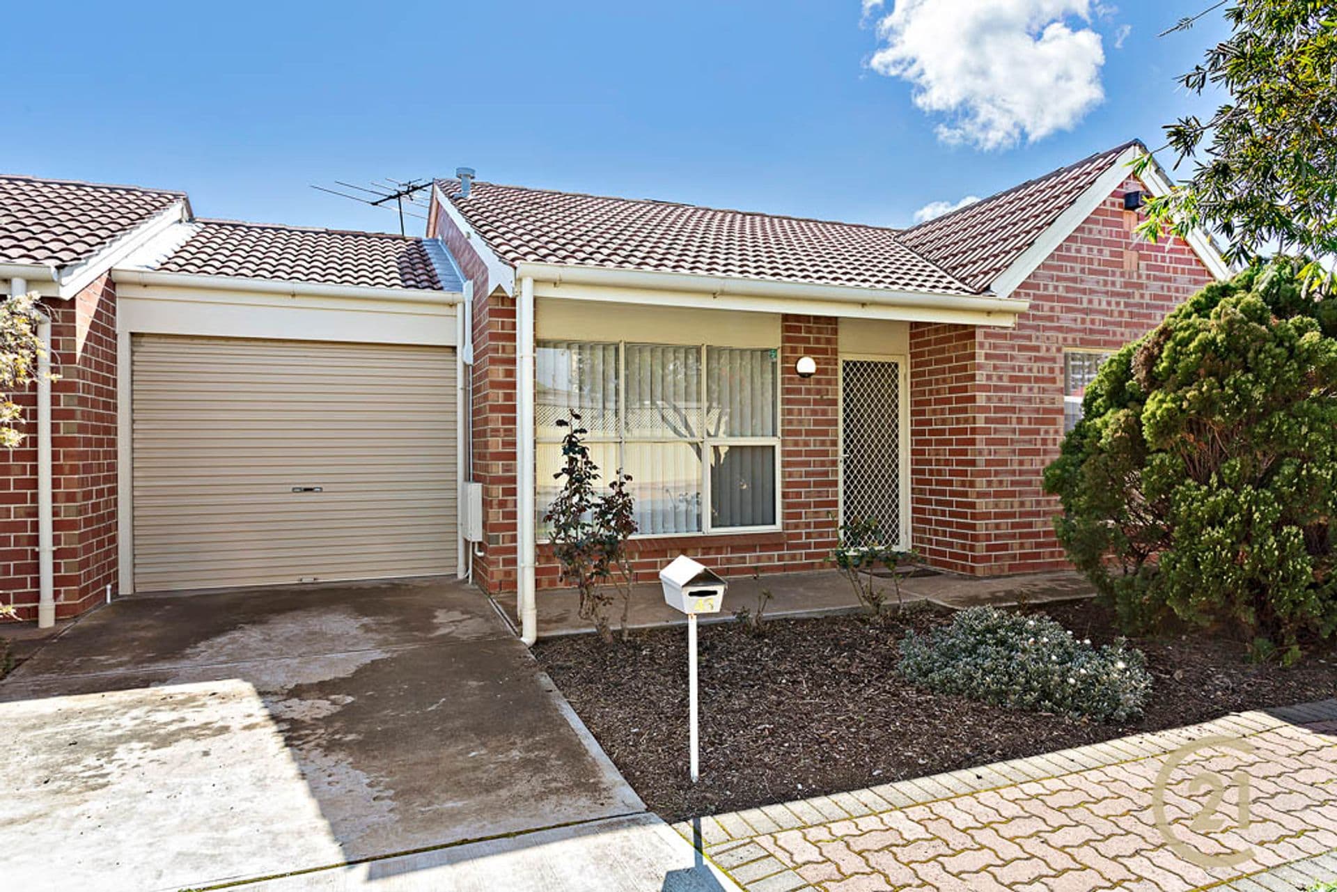 43 Olive Street, Largs Bay, SA, 5016, Largs Bay - Thumbnail 2