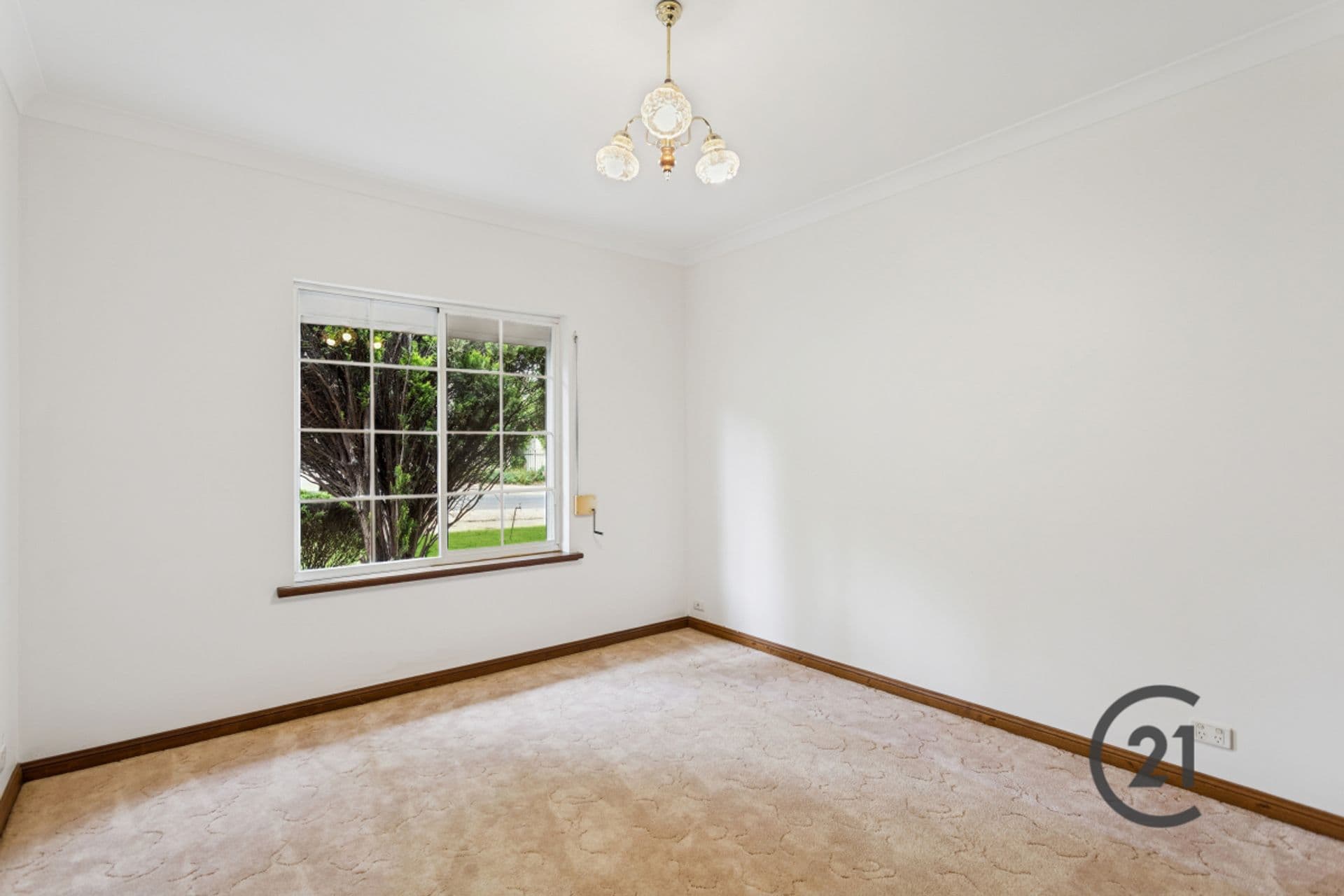 1 Nilginee Street, Rostrevor, SA, 5073, Rostrevor - Thumbnail 6