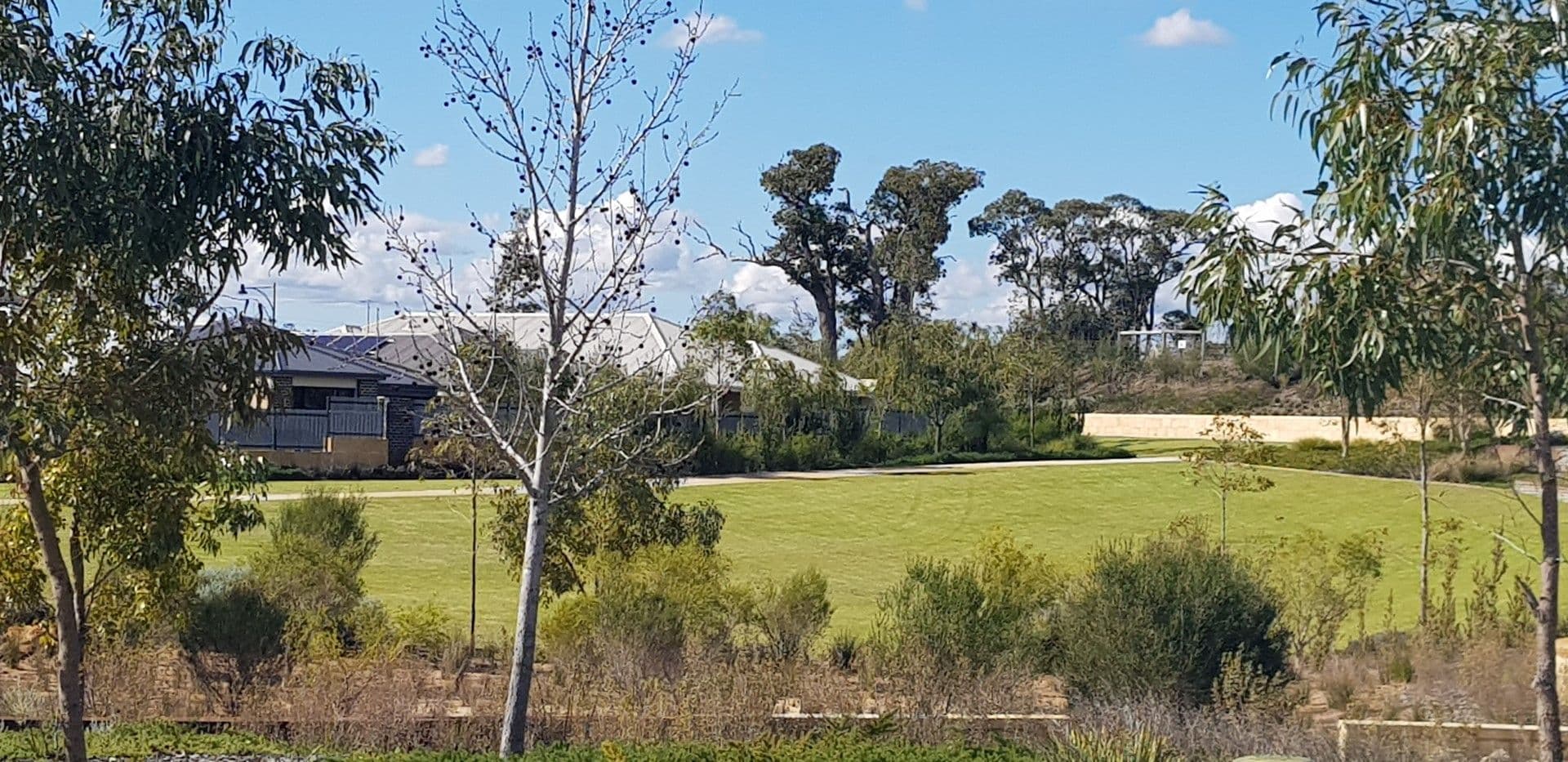 14 Elderflower Street, Treeby, WA, 6164, Treeby - Thumbnail 7