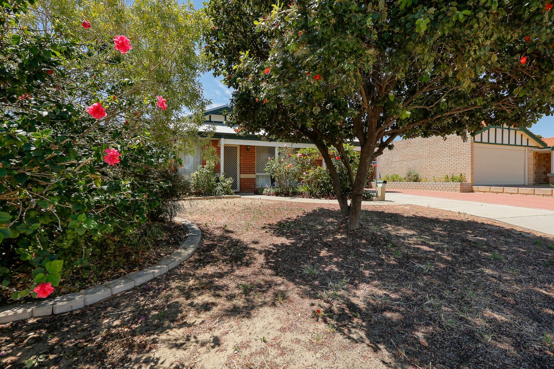 15 Elkington Mews, Clarkson, WA, 6030, Clarkson - Thumbnail 3