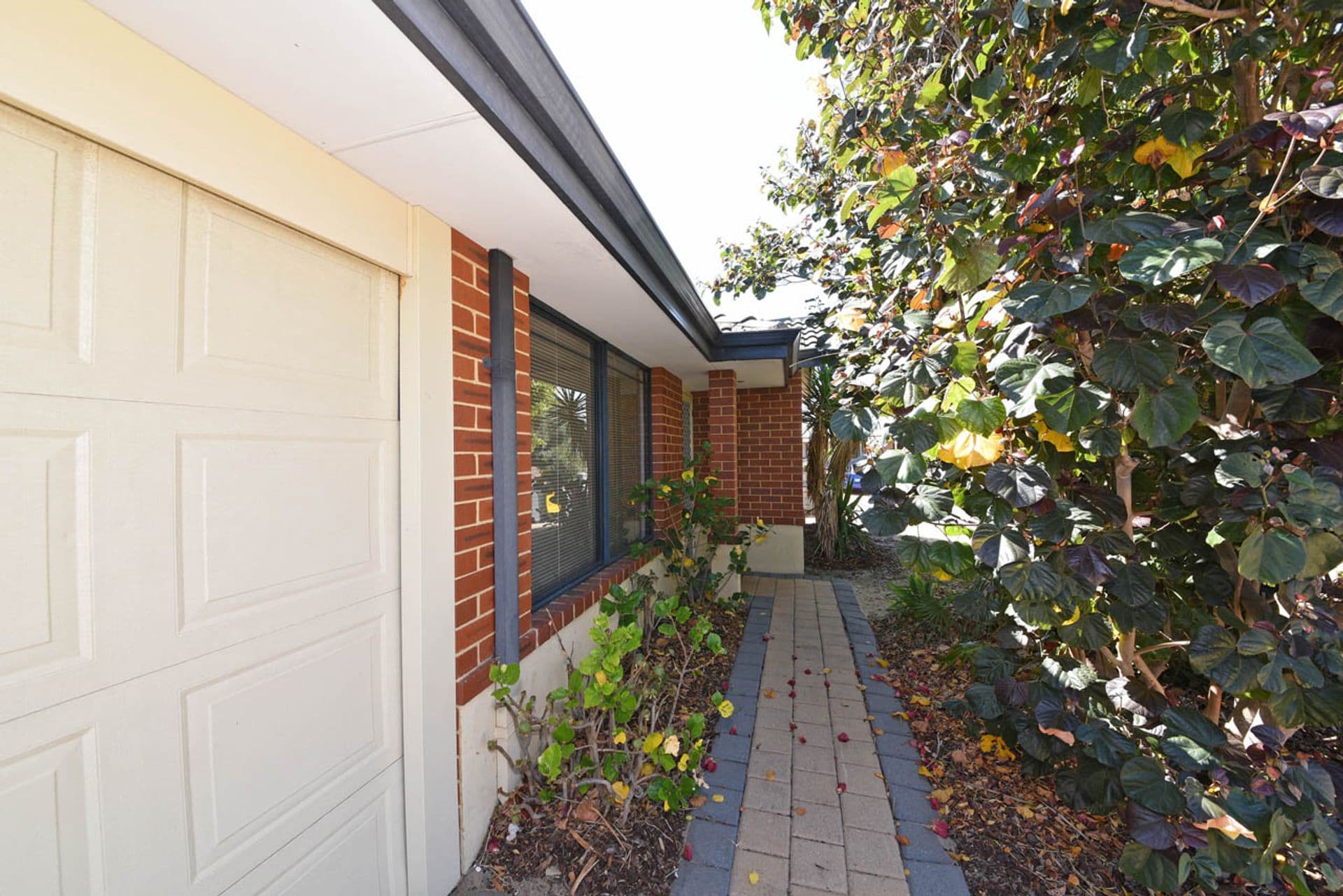 23 McCoy Place, Quinns Rocks, WA, 6030, Quinns Rocks - Thumbnail 3