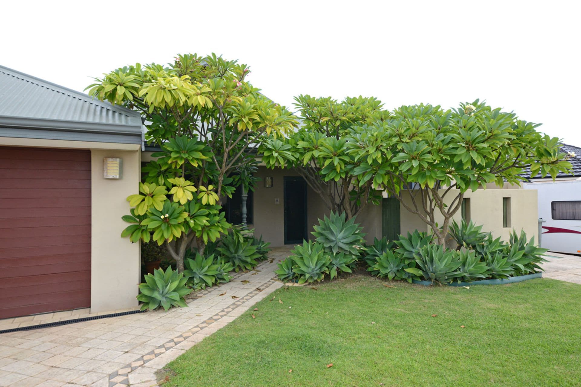 15 St Fillans Bend, Wanneroo, WA, 6065, Wanneroo - Thumbnail 2